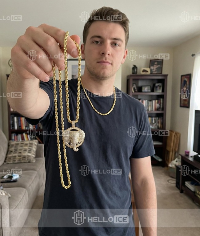 Helloice Review Image