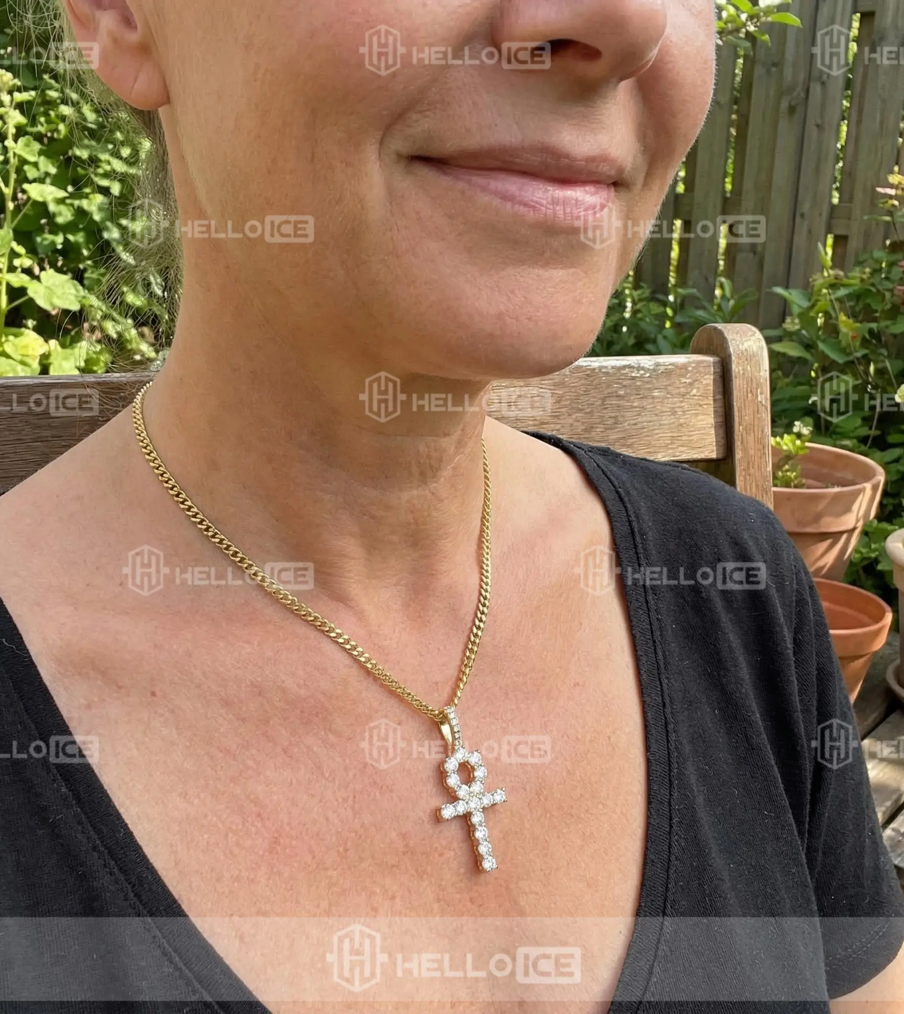 Helloice Review Image