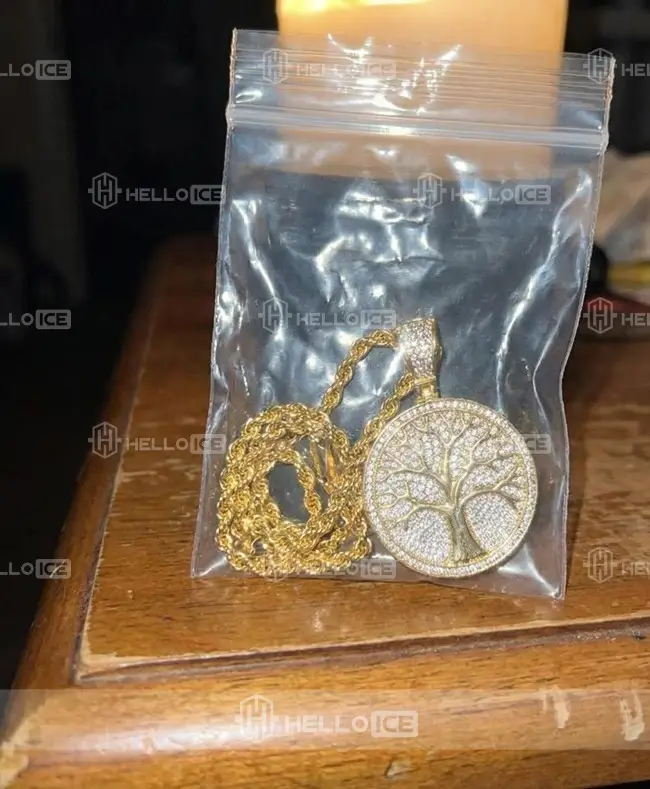 Helloice Review Image