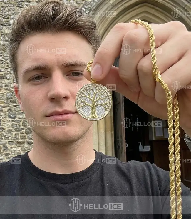 Helloice Review Image