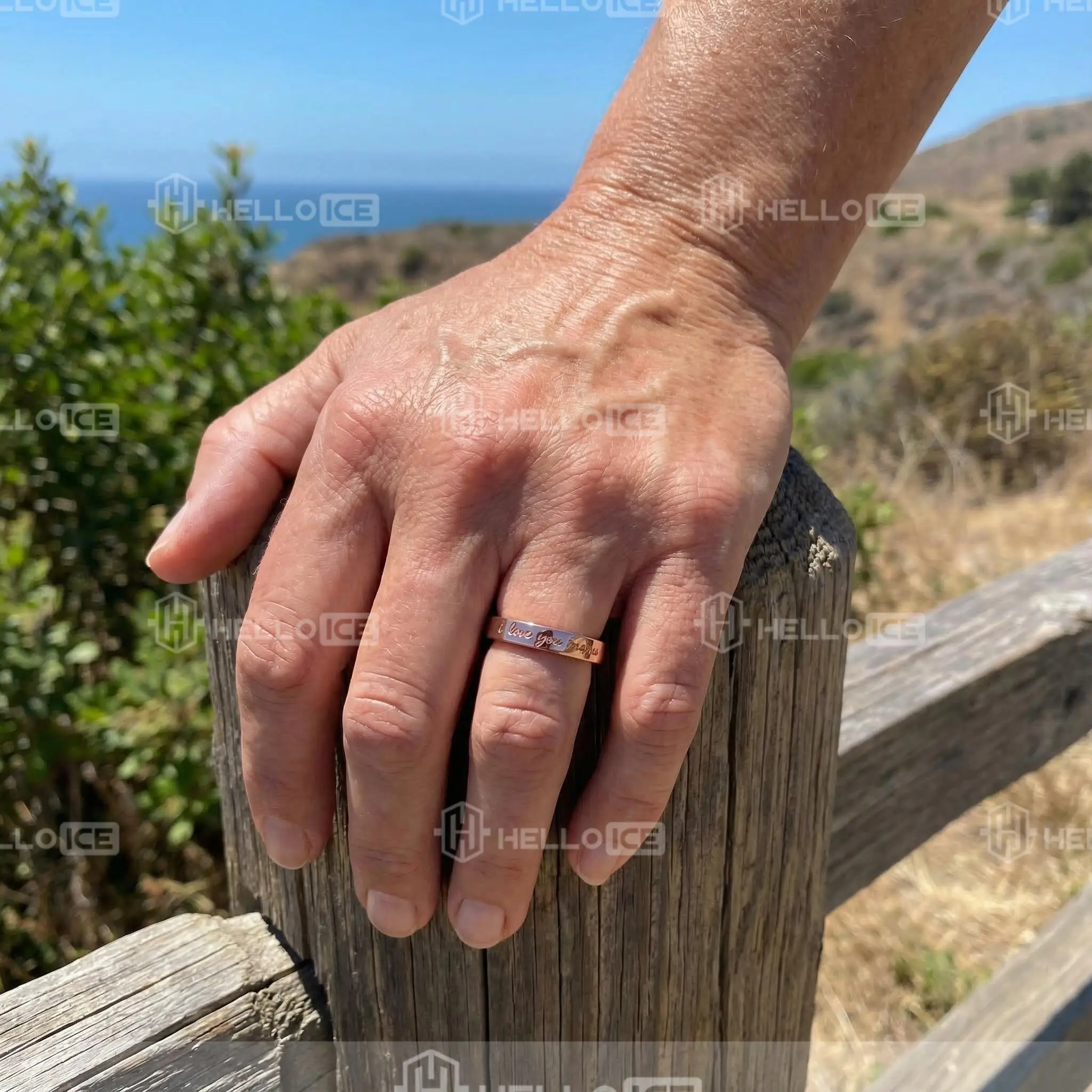 Helloice Review Image