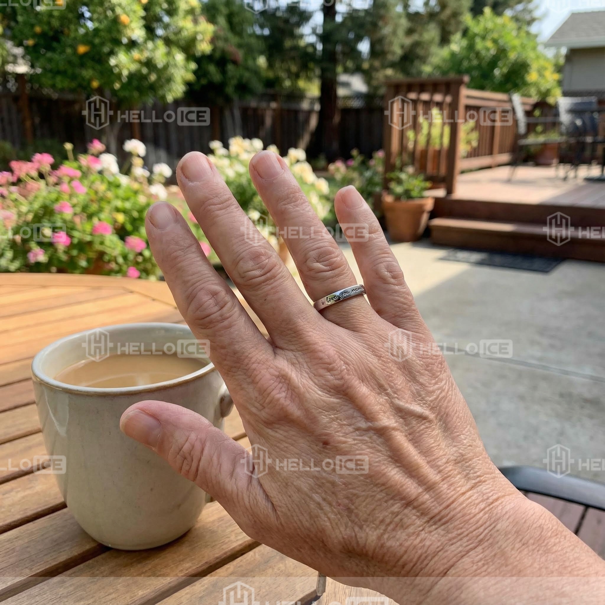 Helloice Review Image