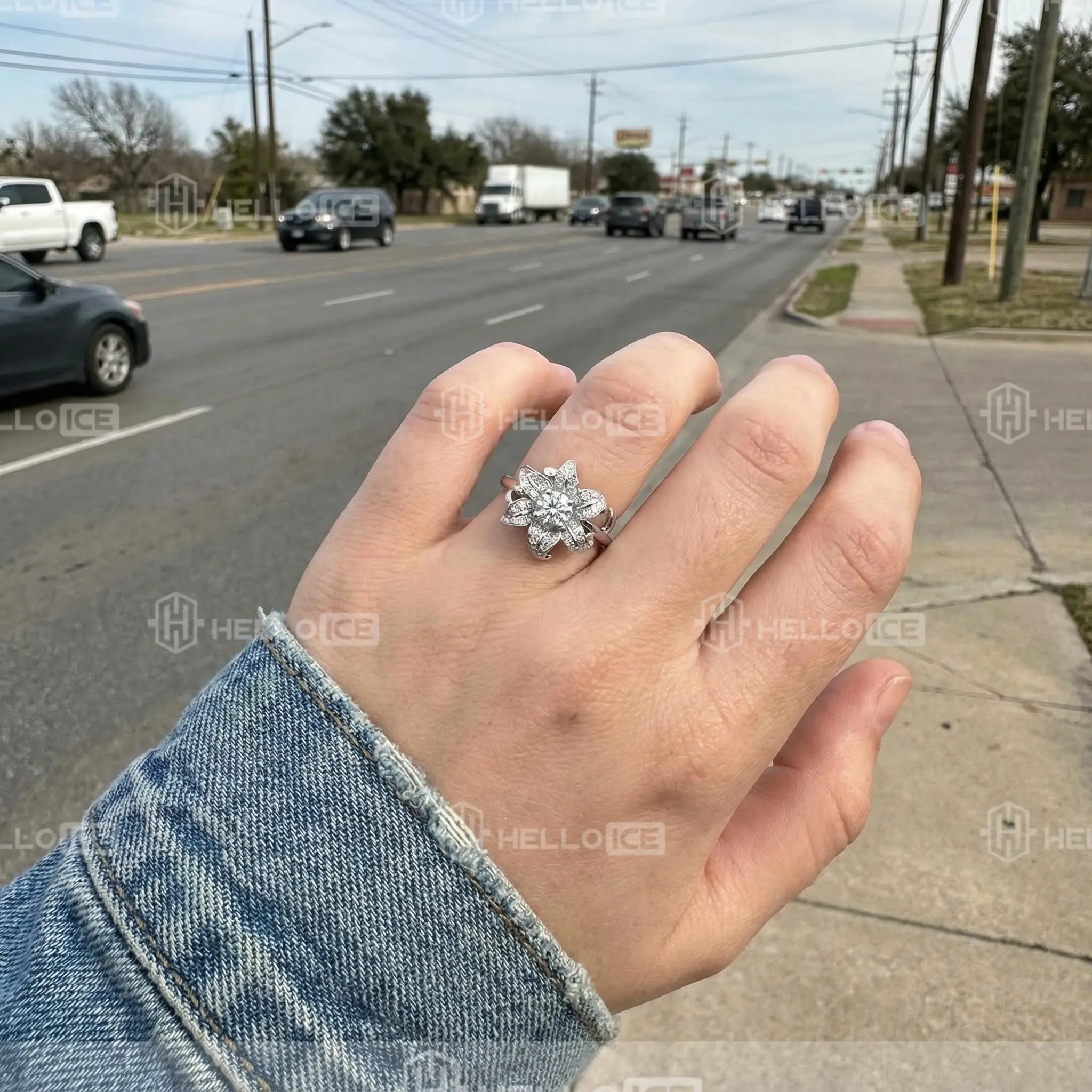 Helloice Review Image