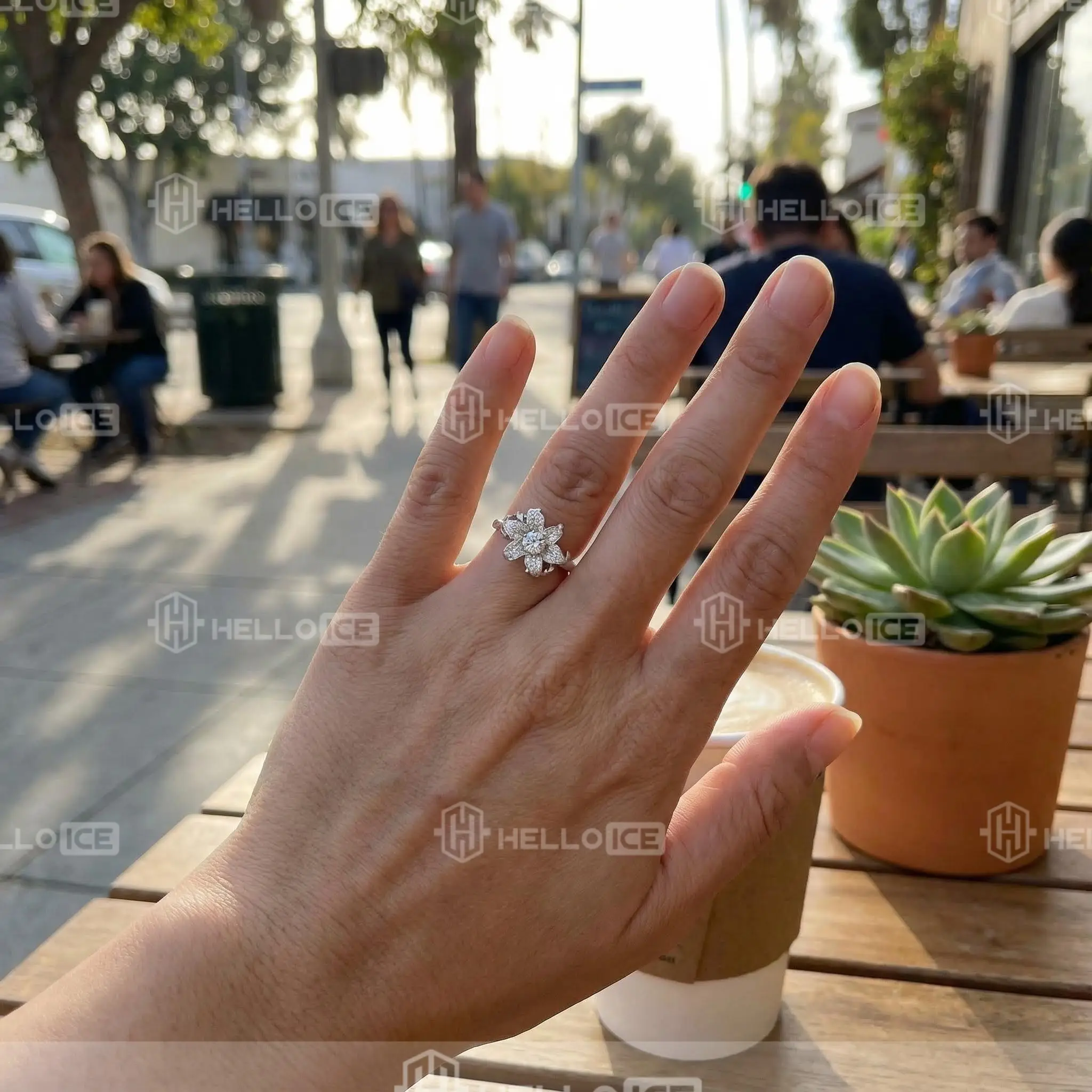 Helloice Review Image