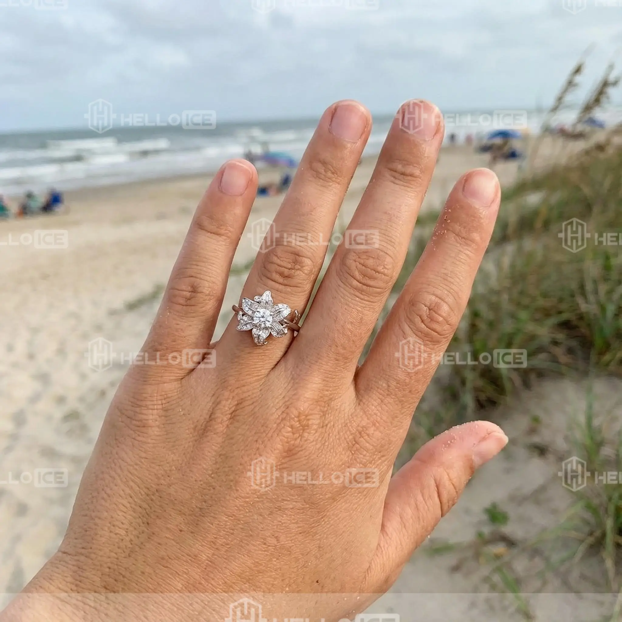 Helloice Review Image