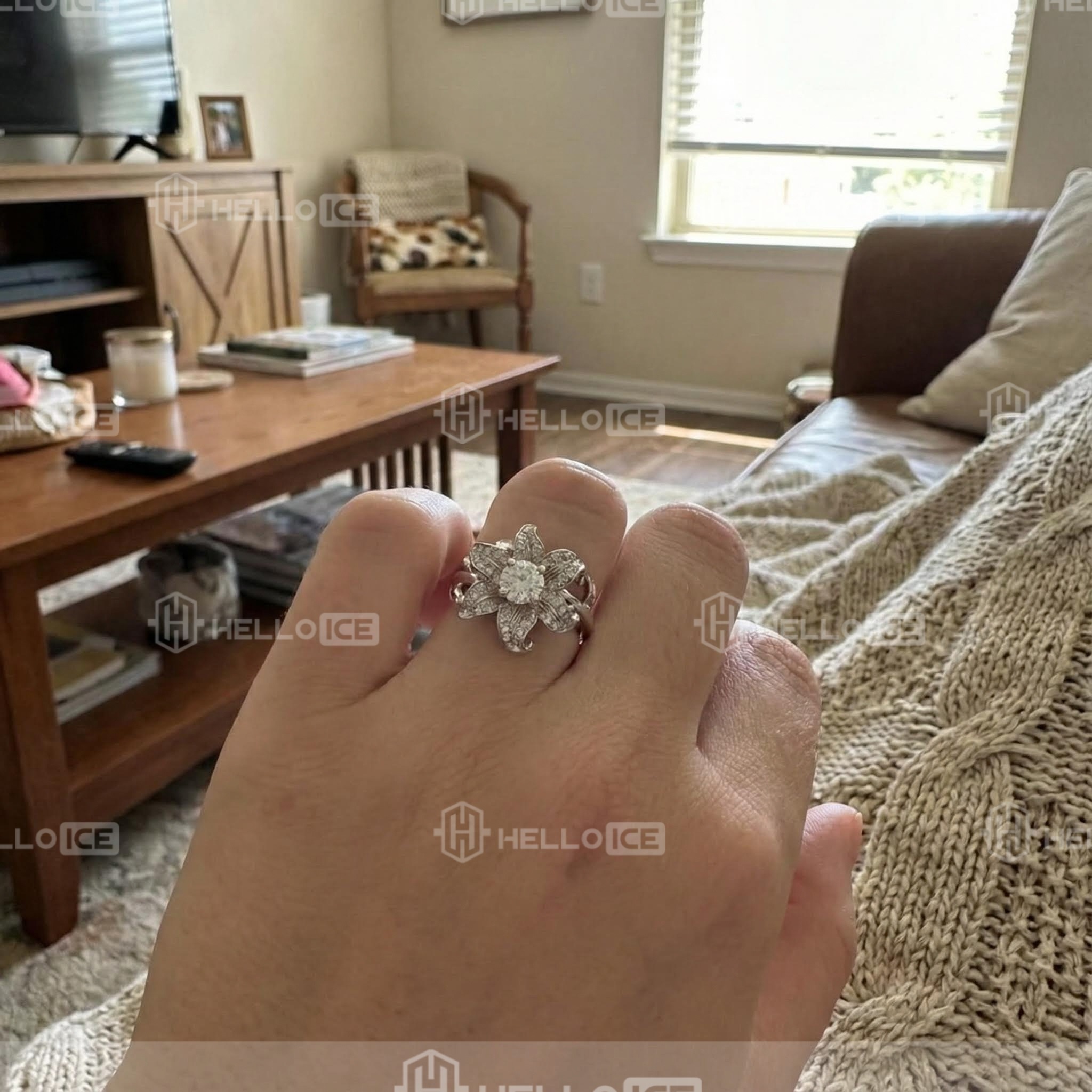 Helloice Review Image