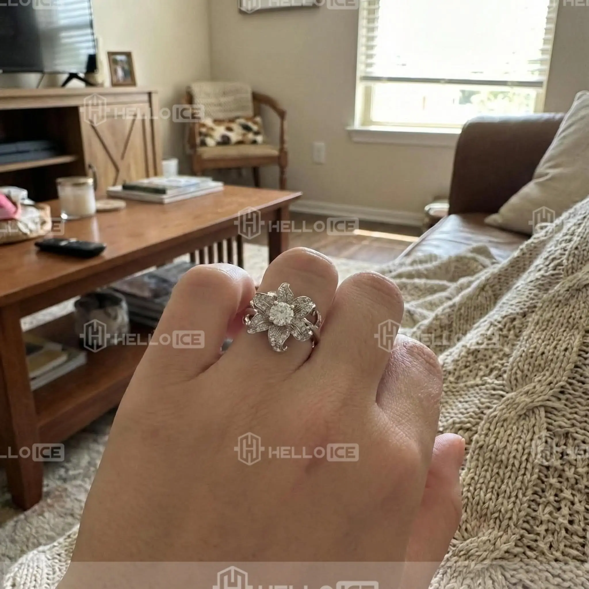 Helloice Review Image