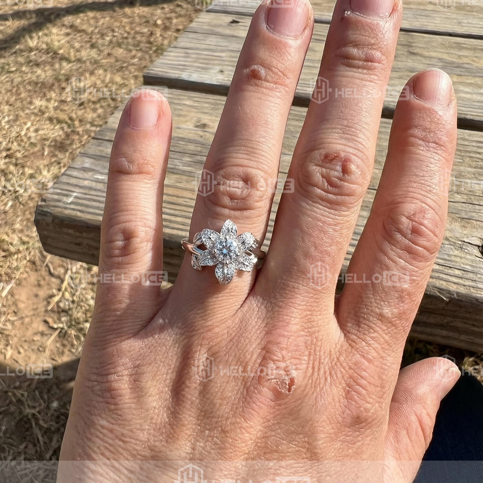 Helloice Review Image