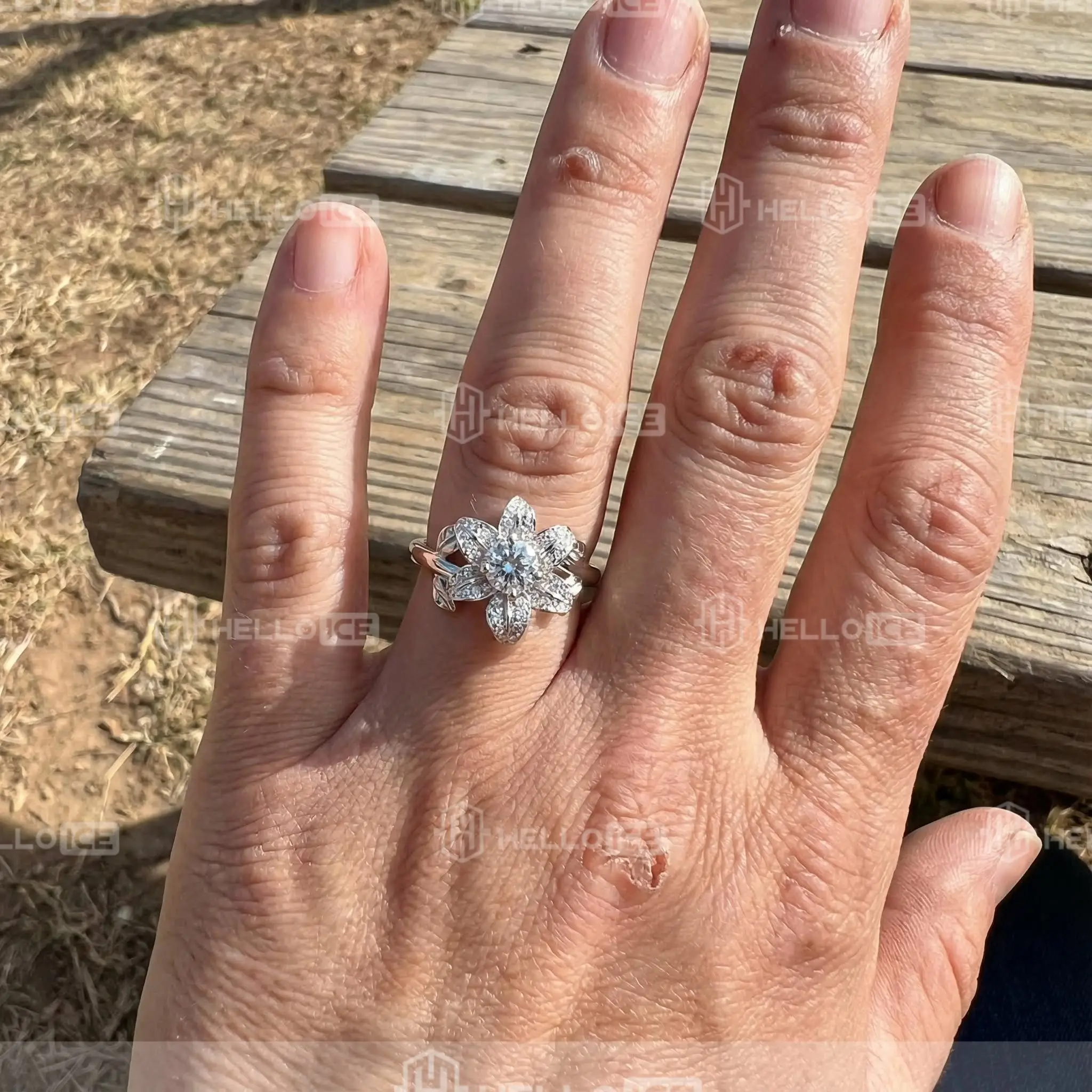 Helloice Review Image