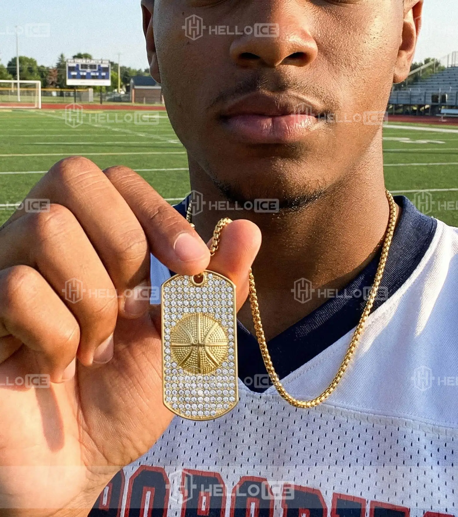 Helloice Review Image