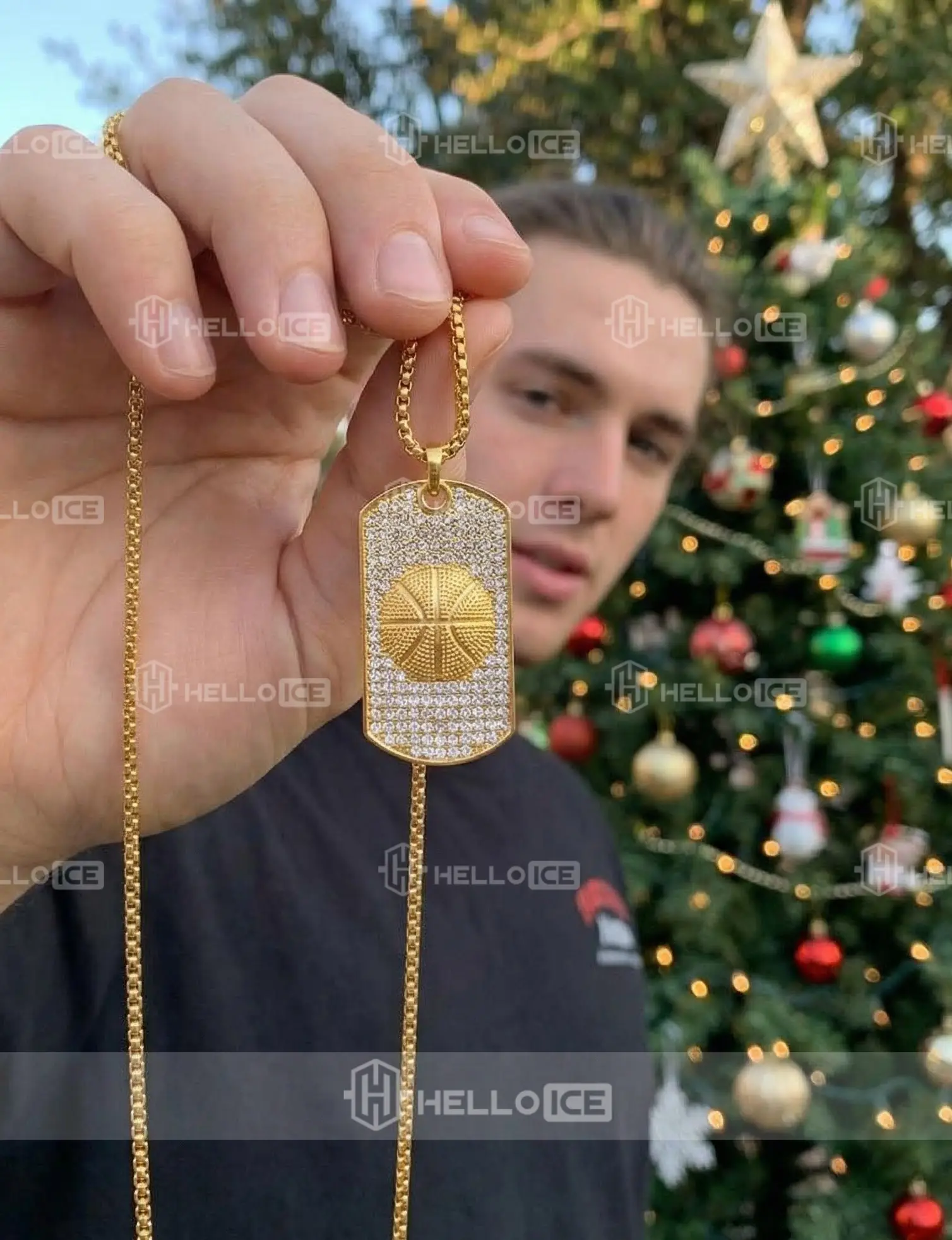 Helloice Review Image