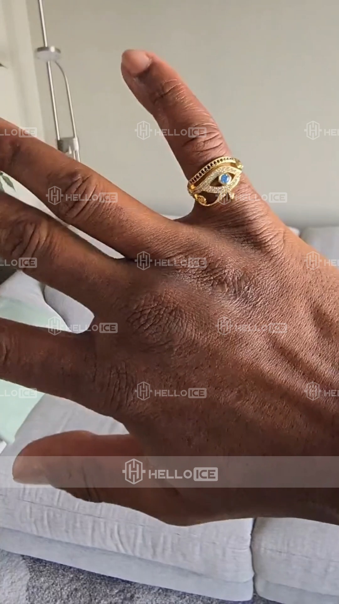 Helloice Review Image