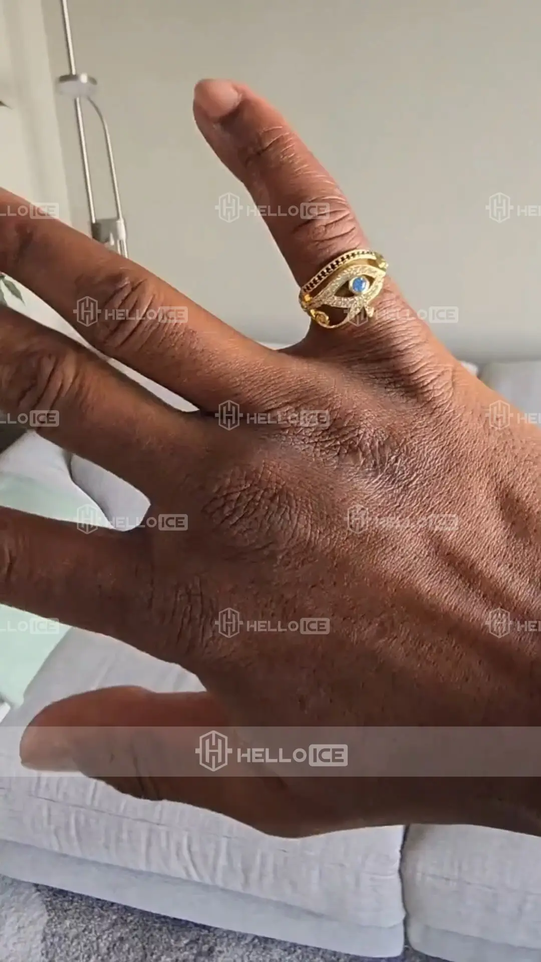 Helloice Review Image