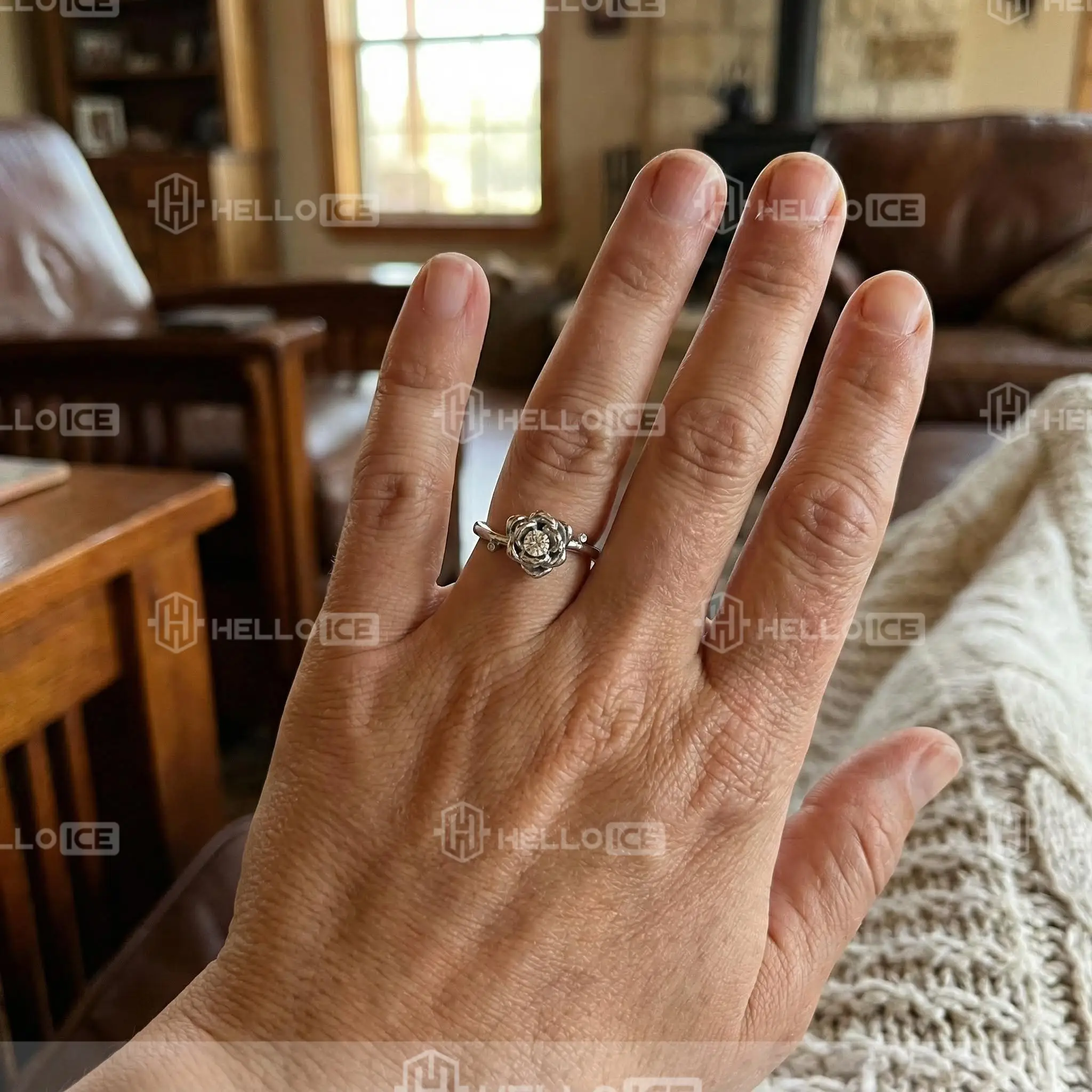 Helloice Review Image