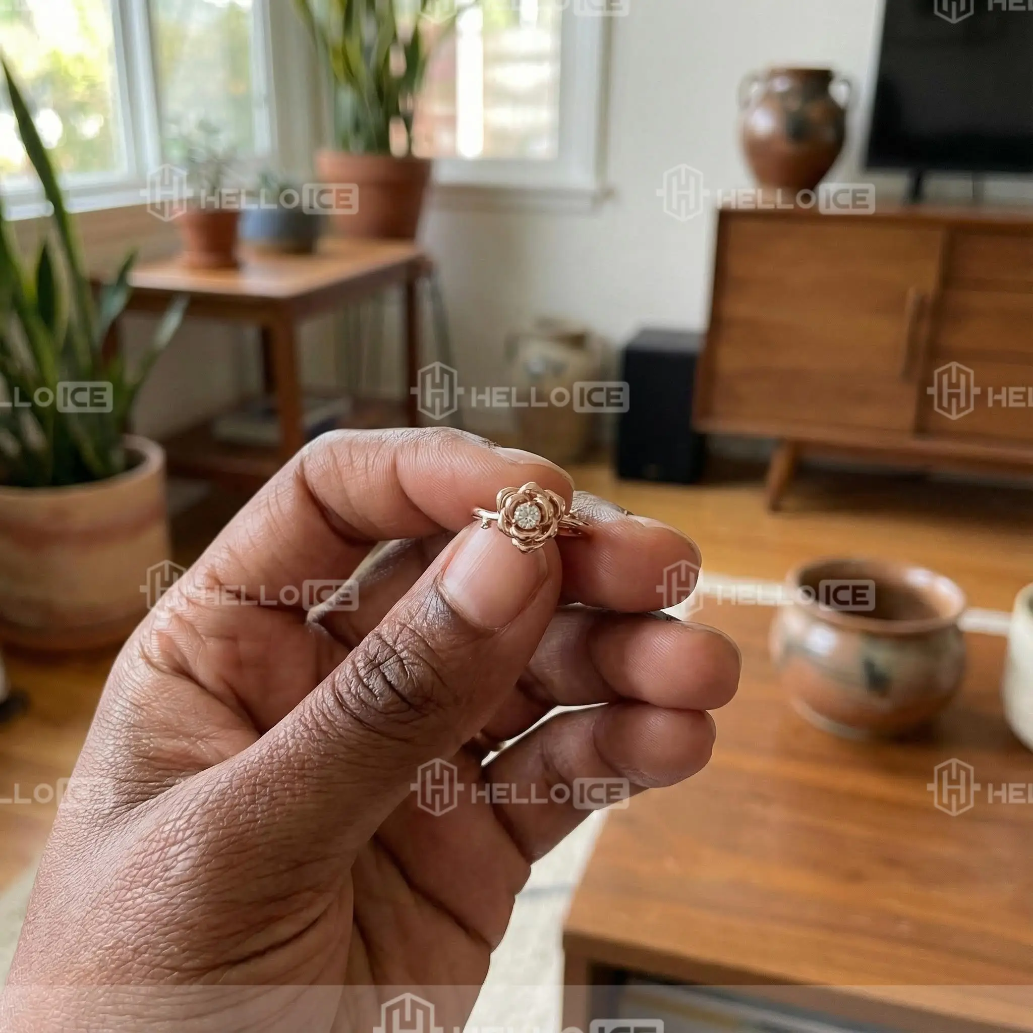 Helloice Review Image