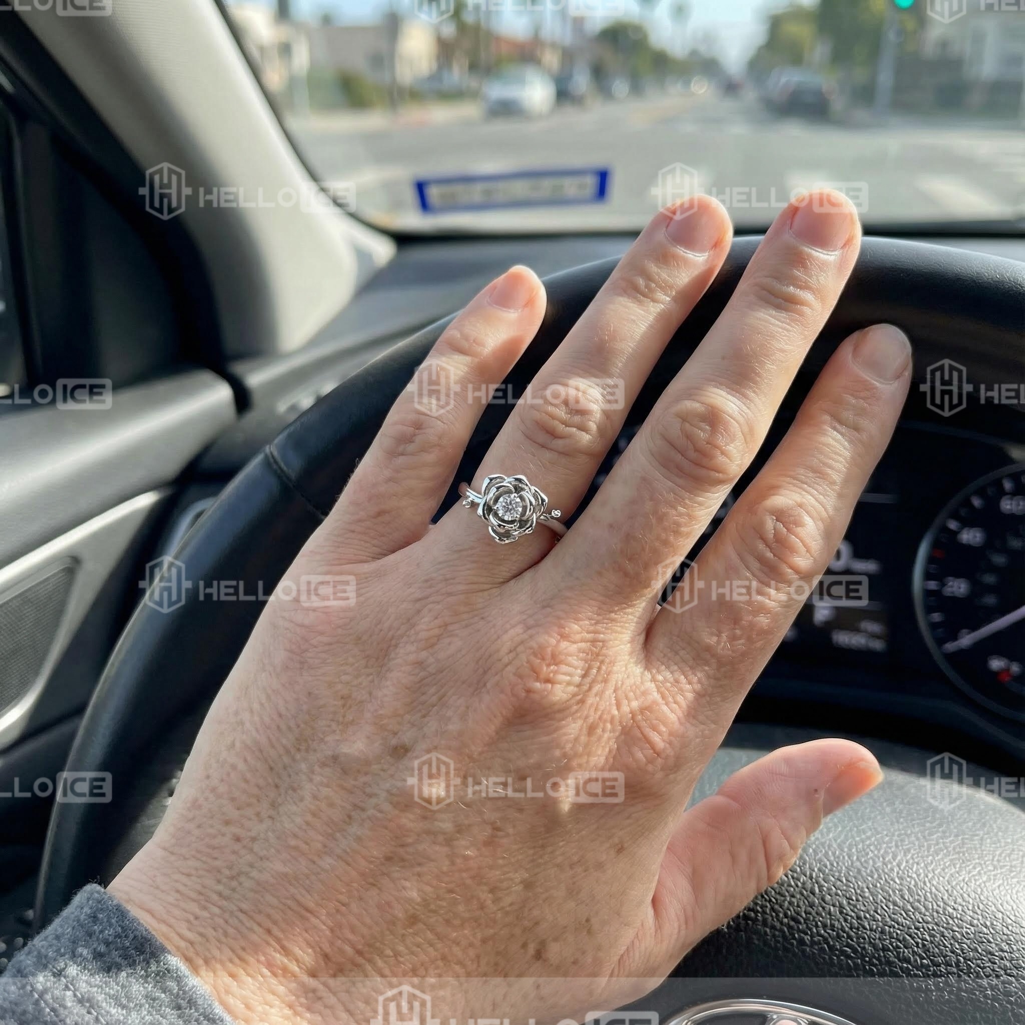 Helloice Review Image