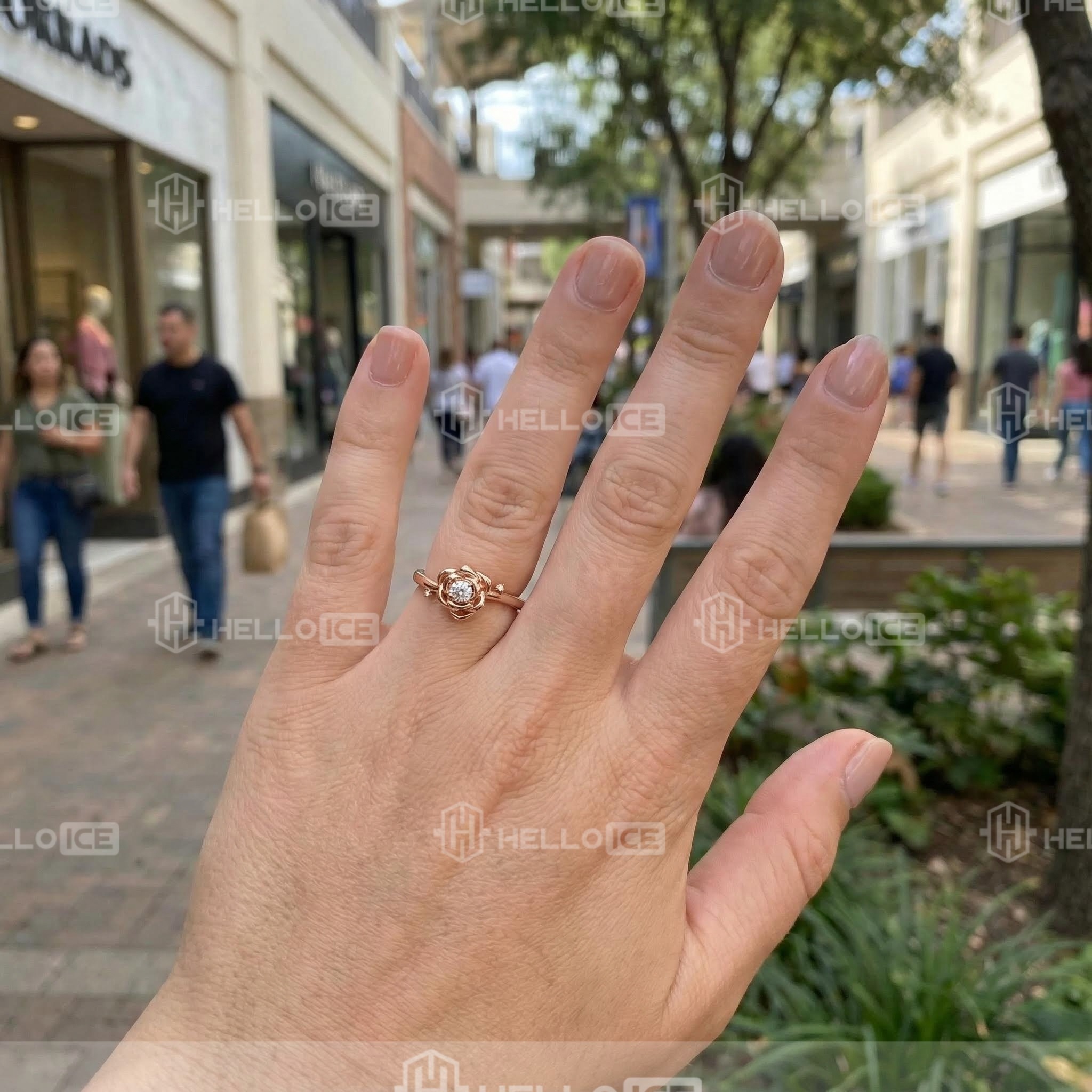 Helloice Review Image