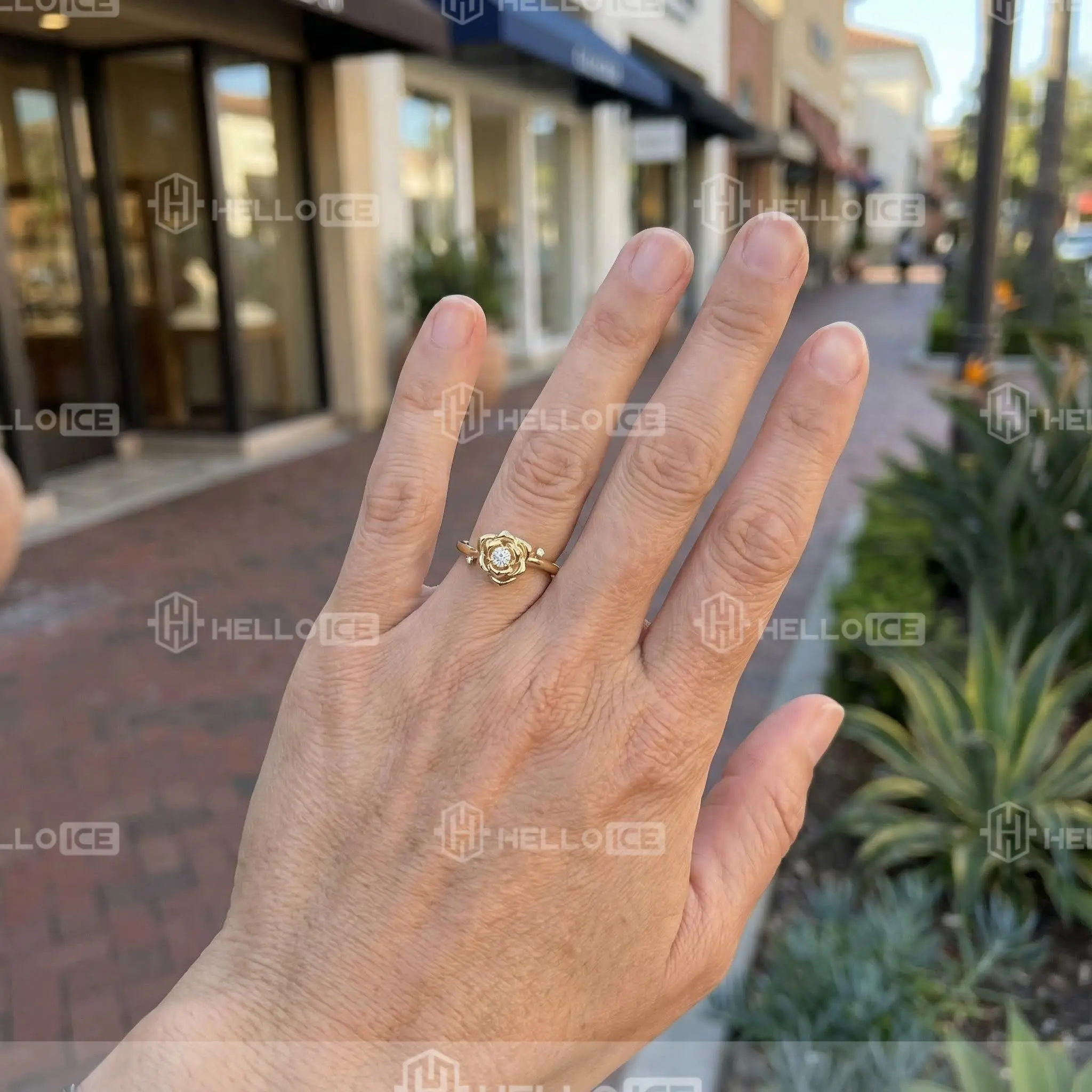 Helloice Review Image