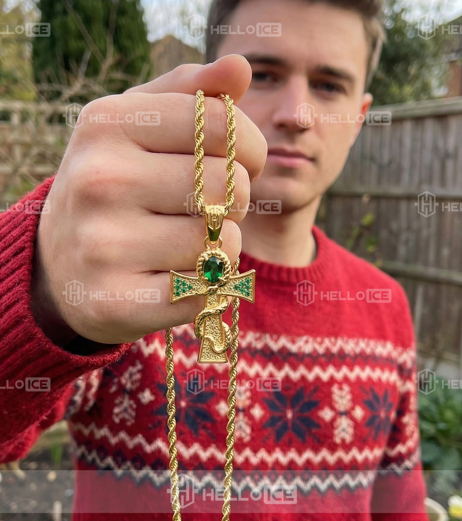 Helloice Review Image