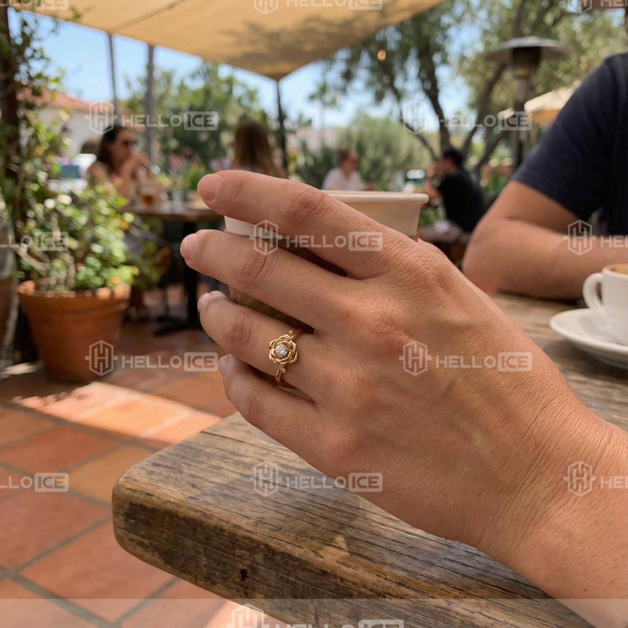 Helloice Review Image