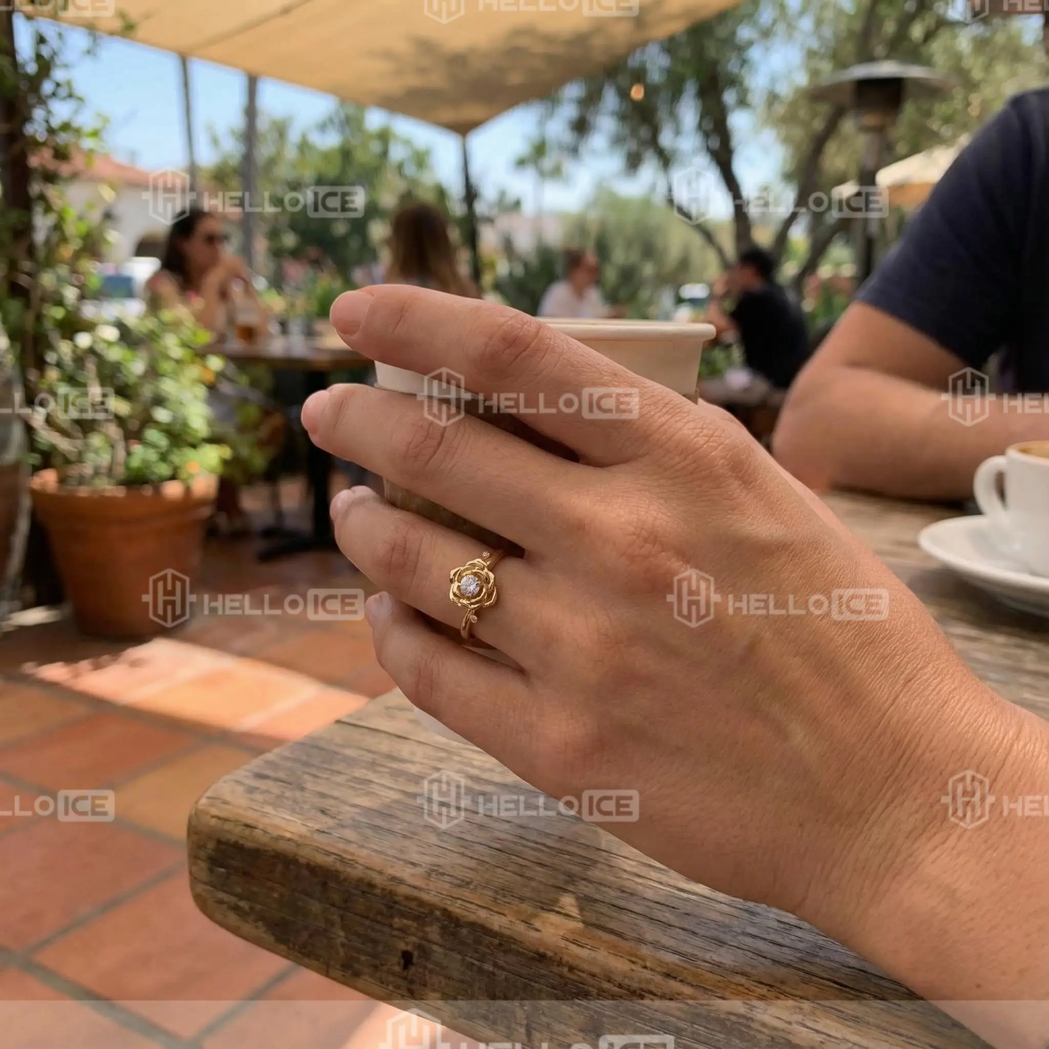 Helloice Review Image