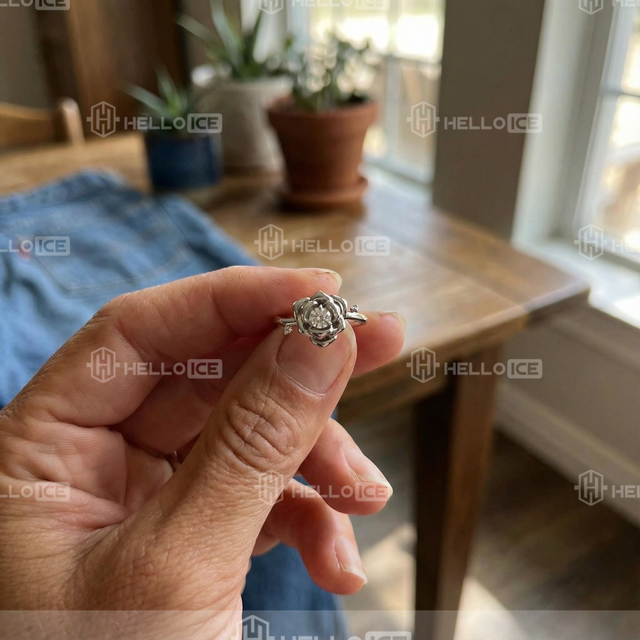 Helloice Review Image