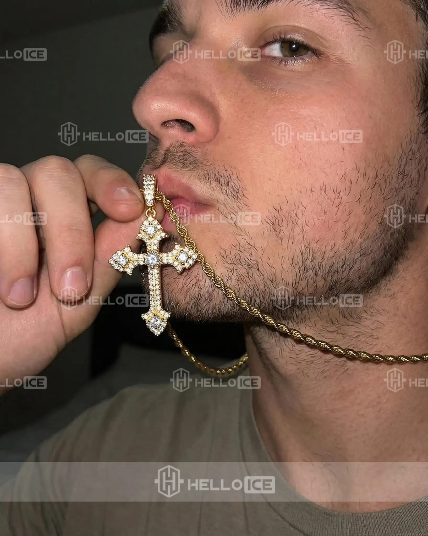 Helloice Review Image