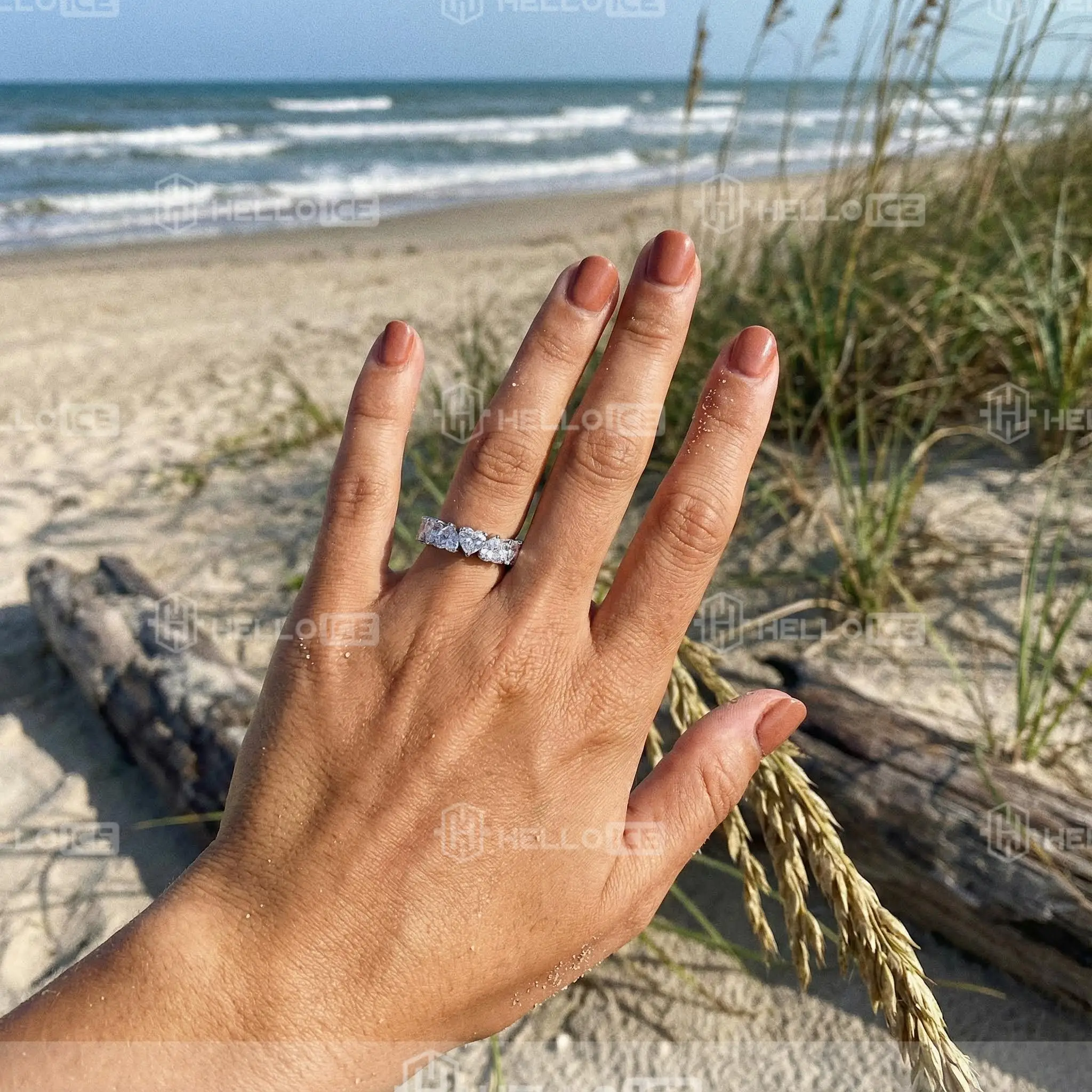 Helloice Review Image