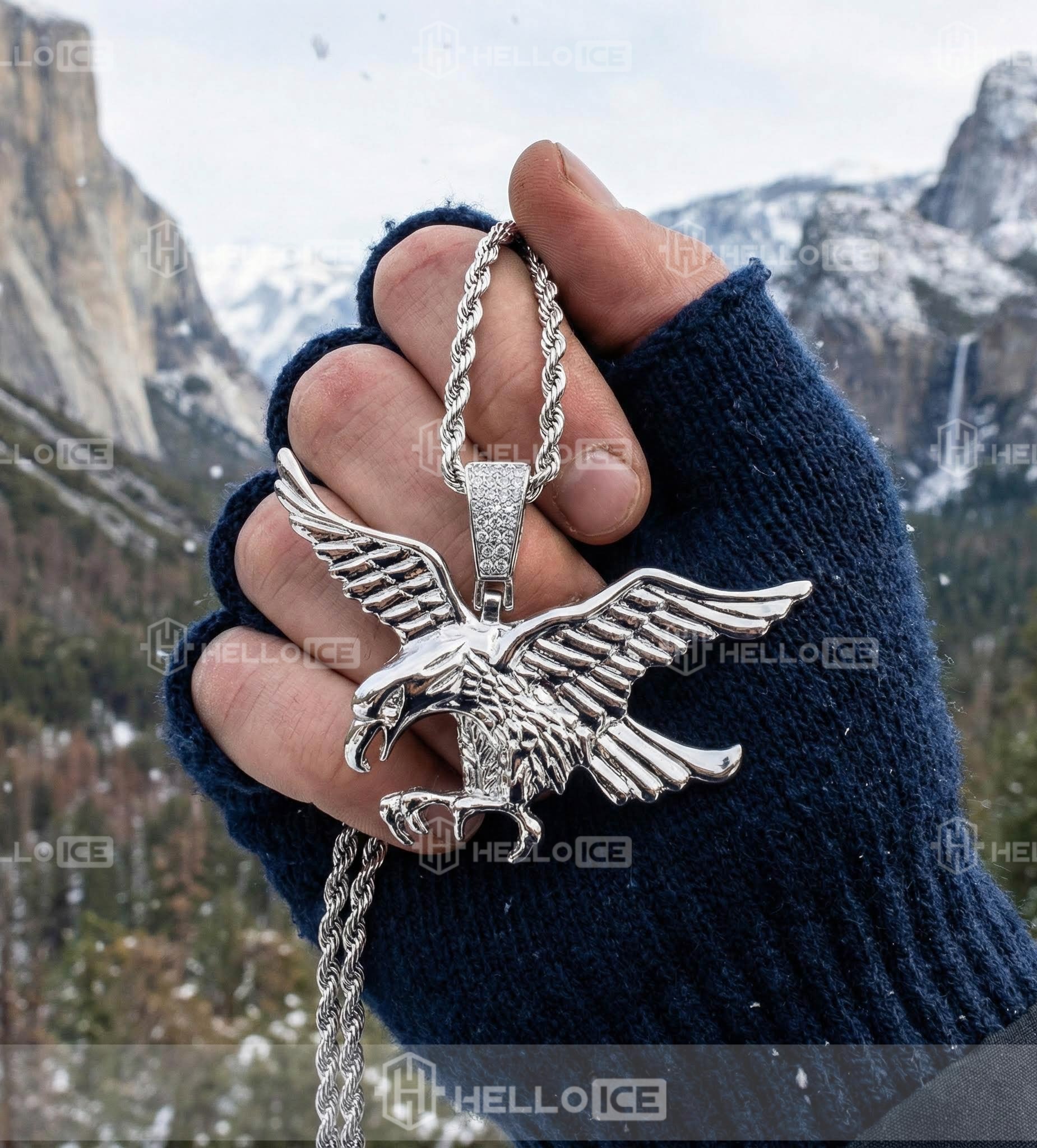 Helloice Review Image