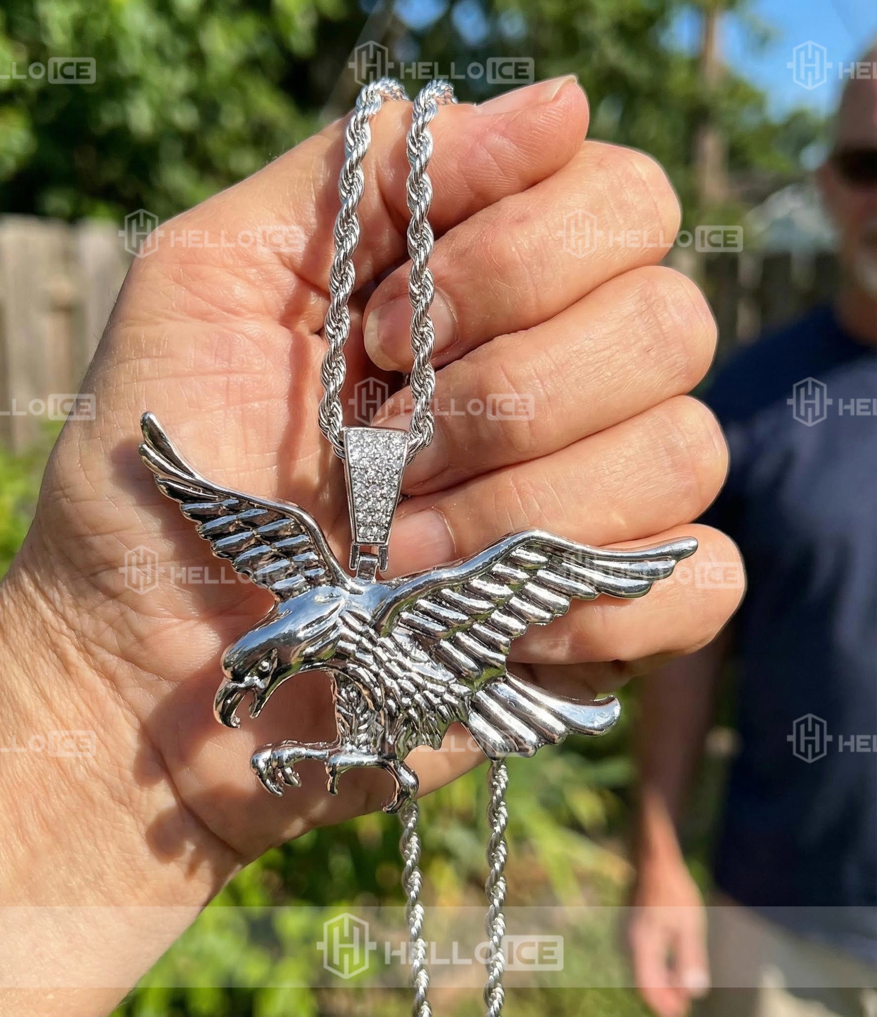 Helloice Review Image