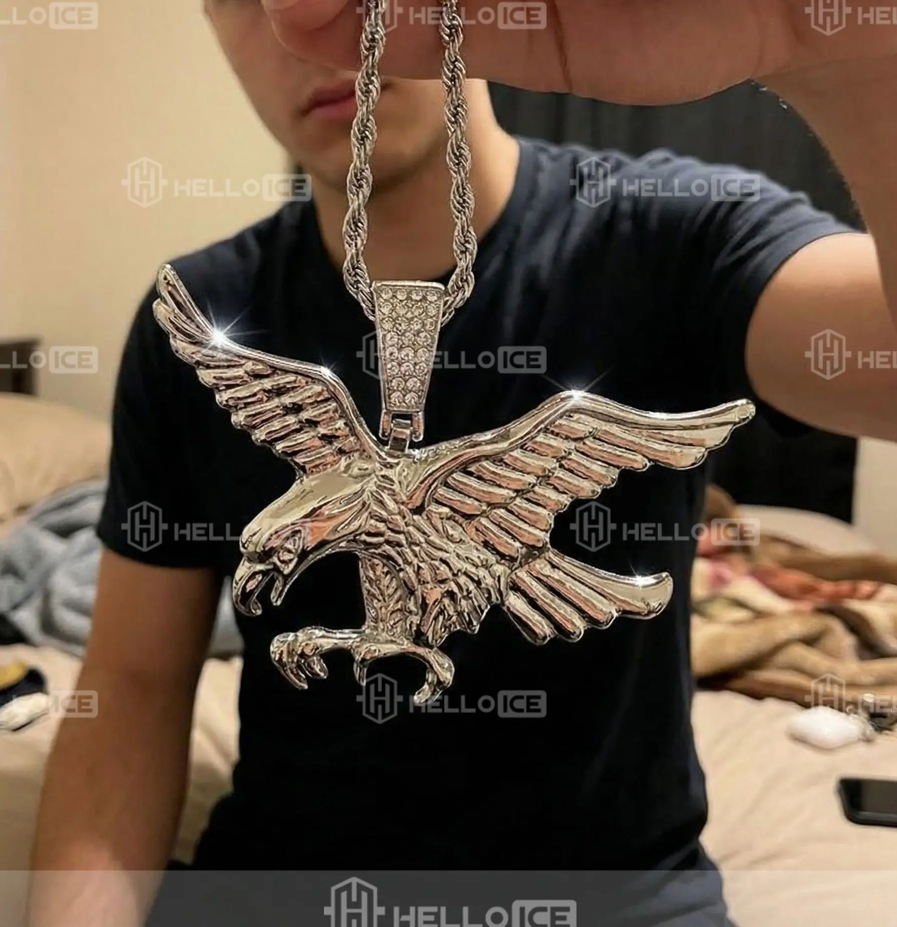 Helloice Review Image