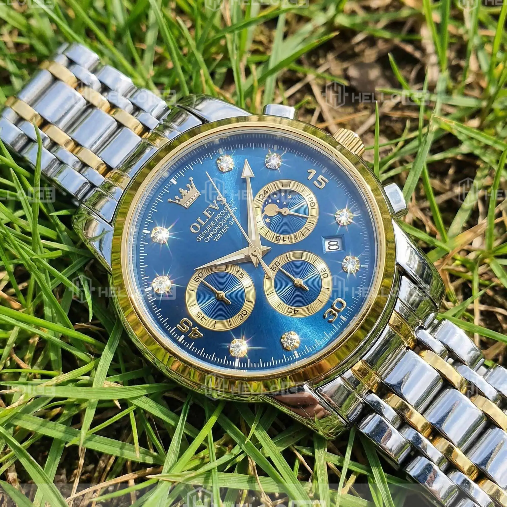 Helloice Review Image