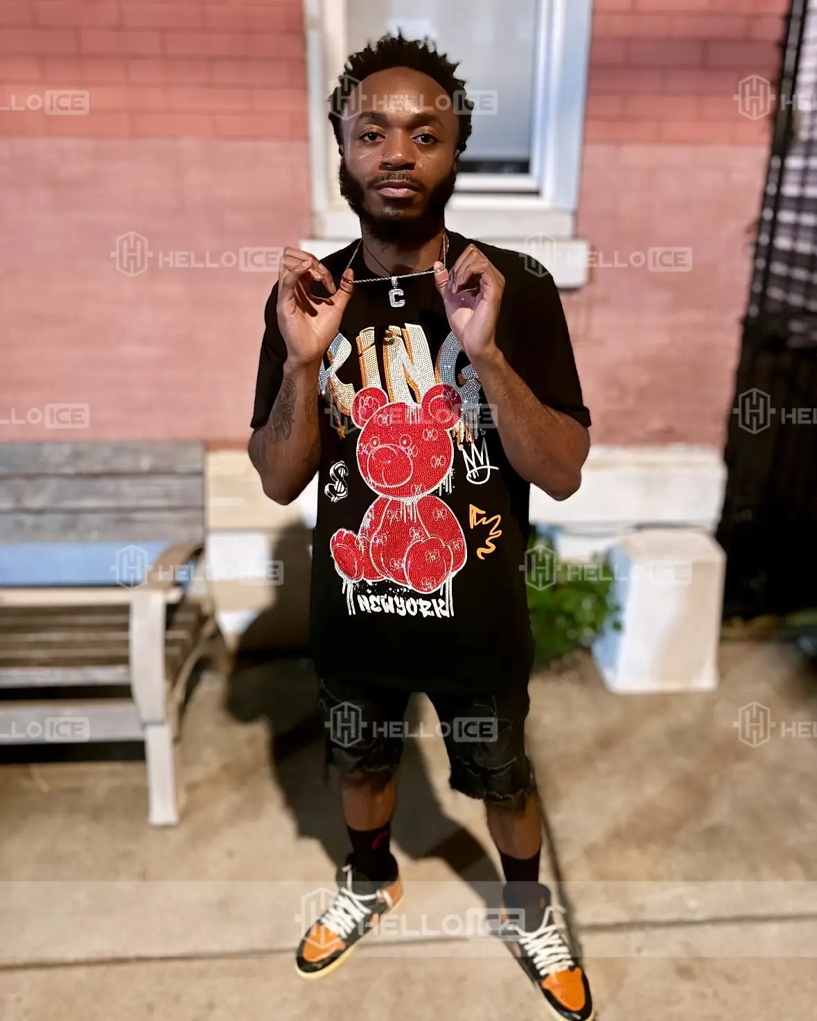 Helloice Review Image