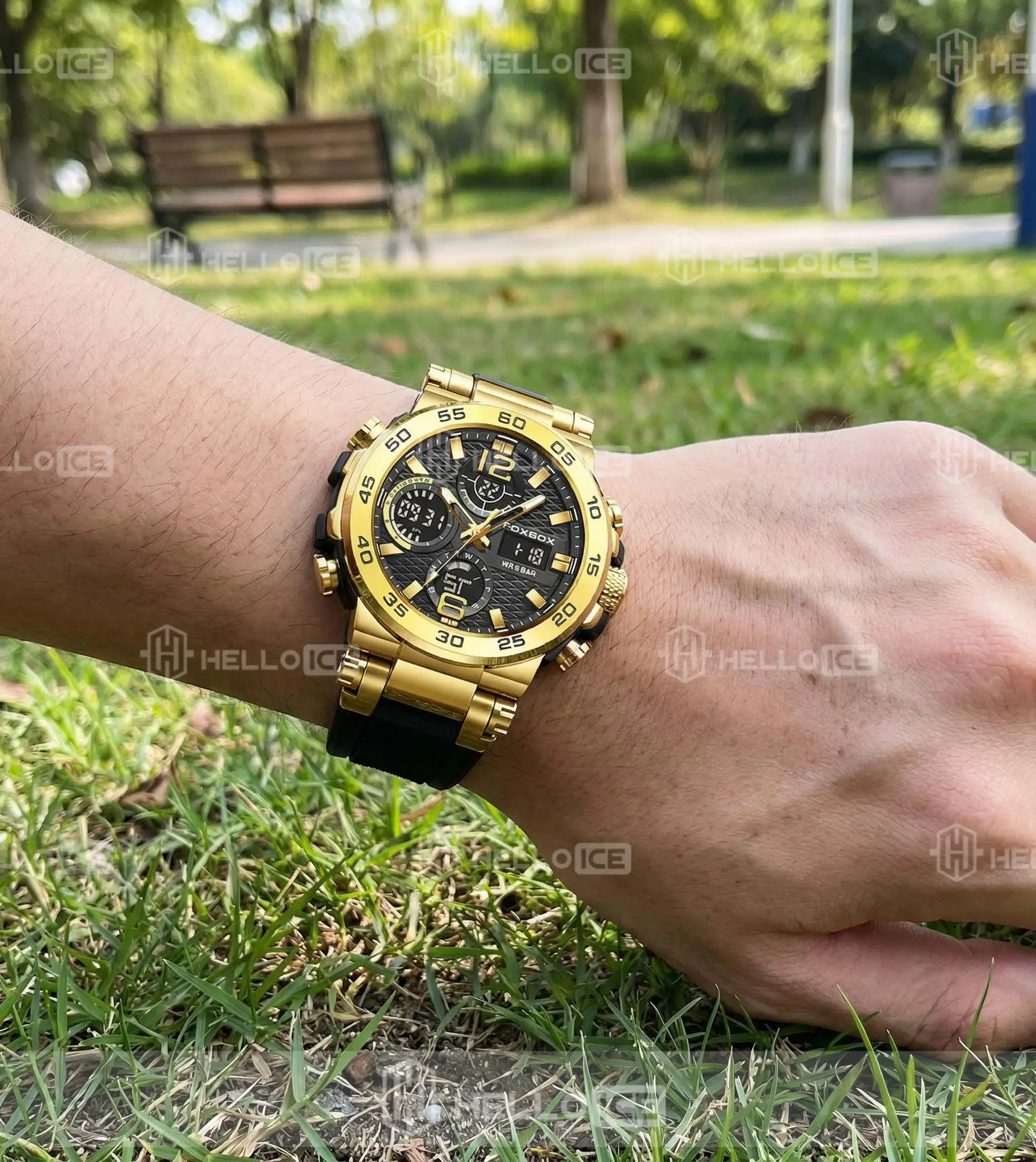 Helloice Review Image