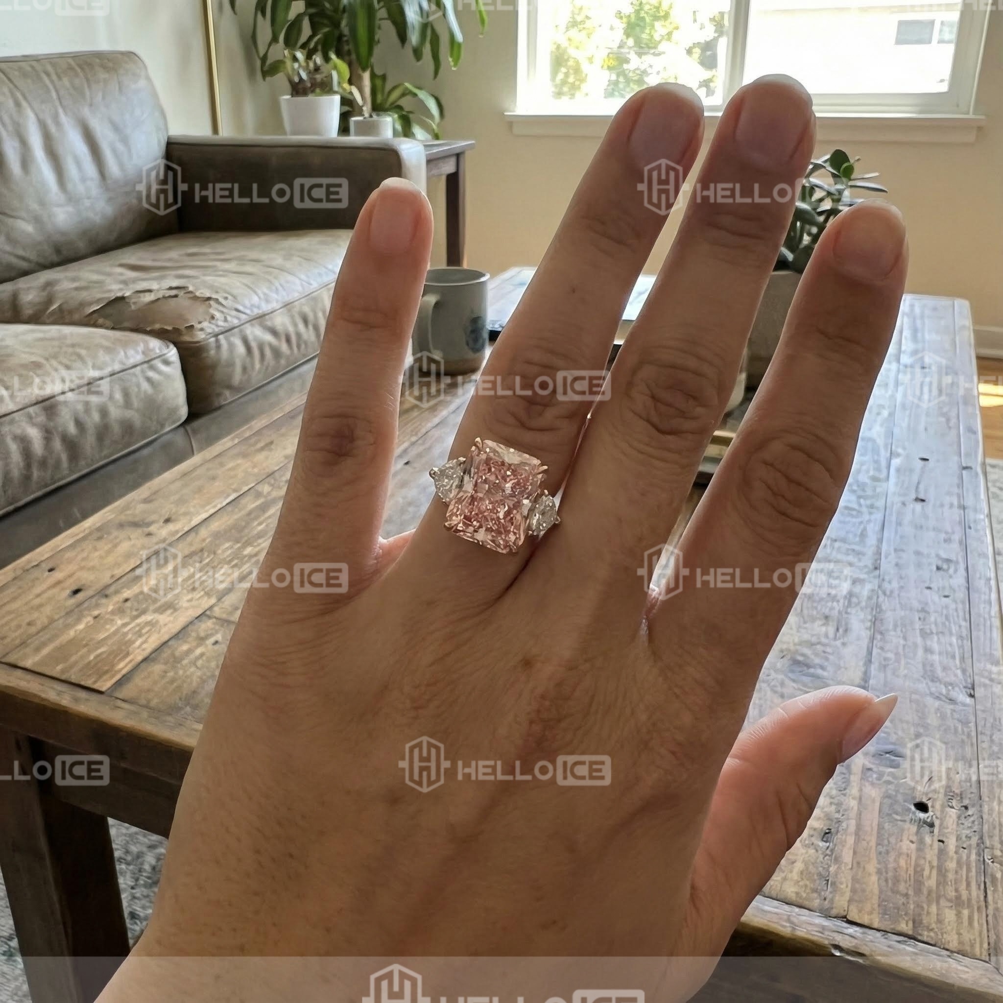 Helloice Review Image