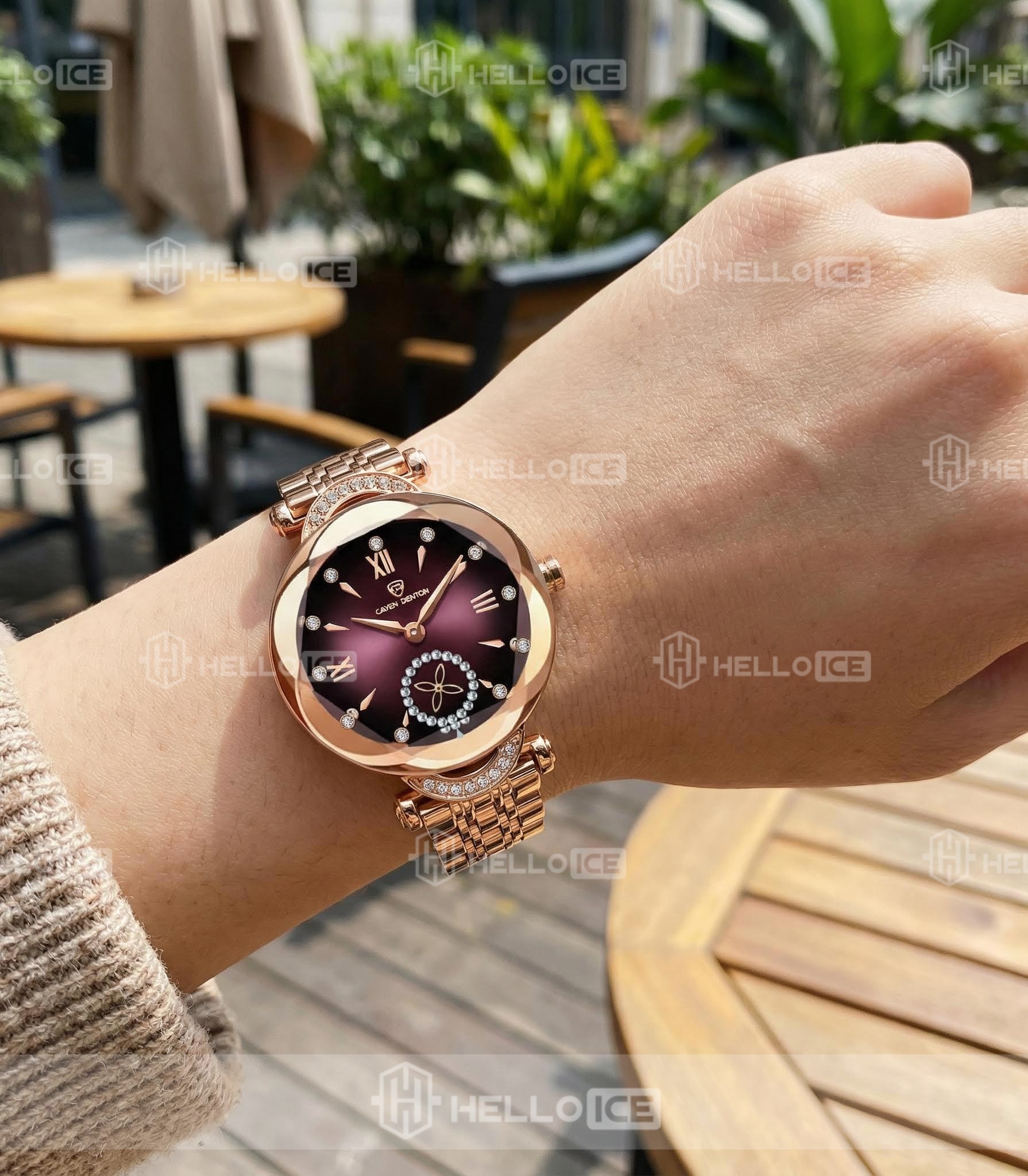 Helloice Review Image