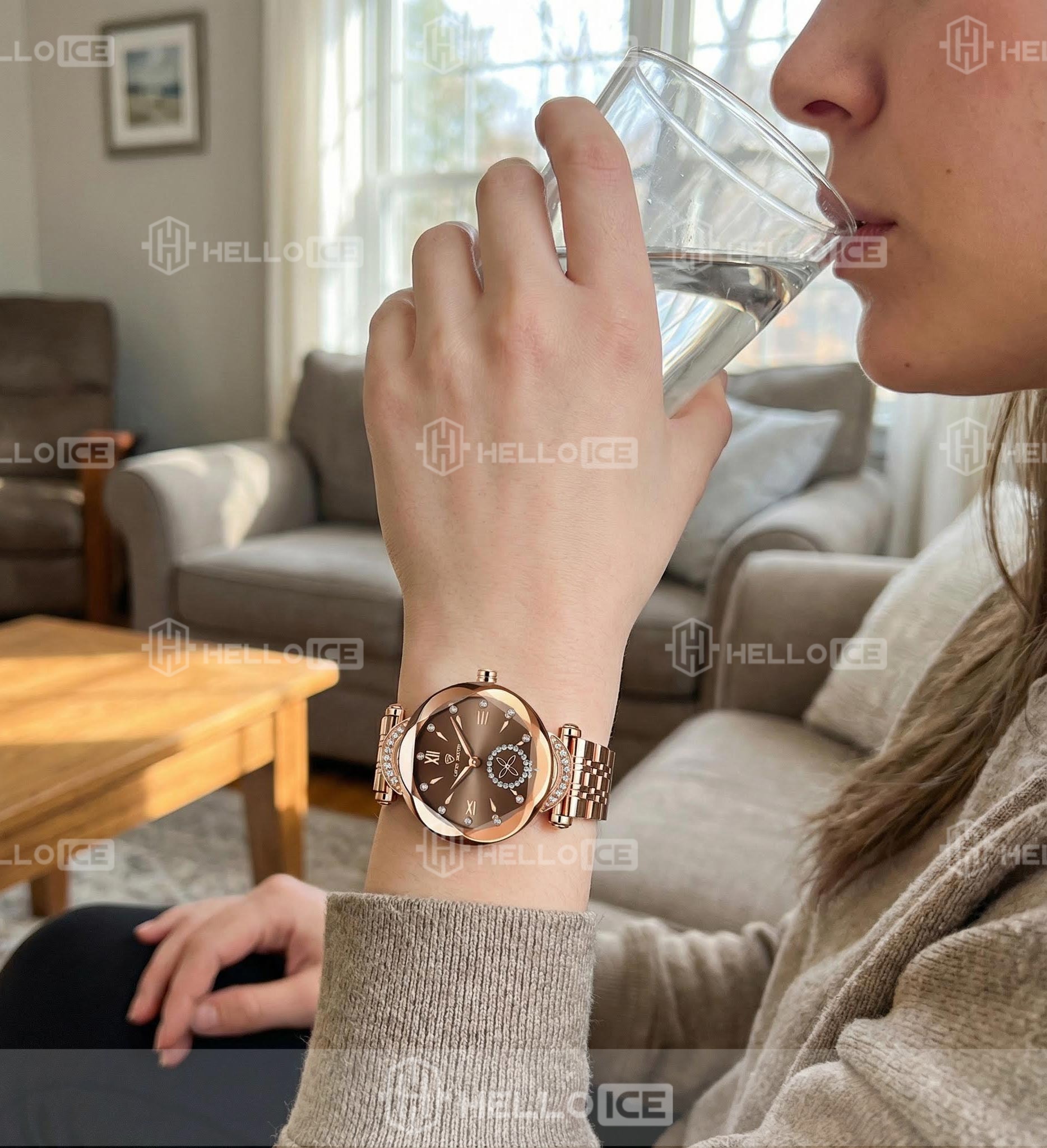 Helloice Review Image