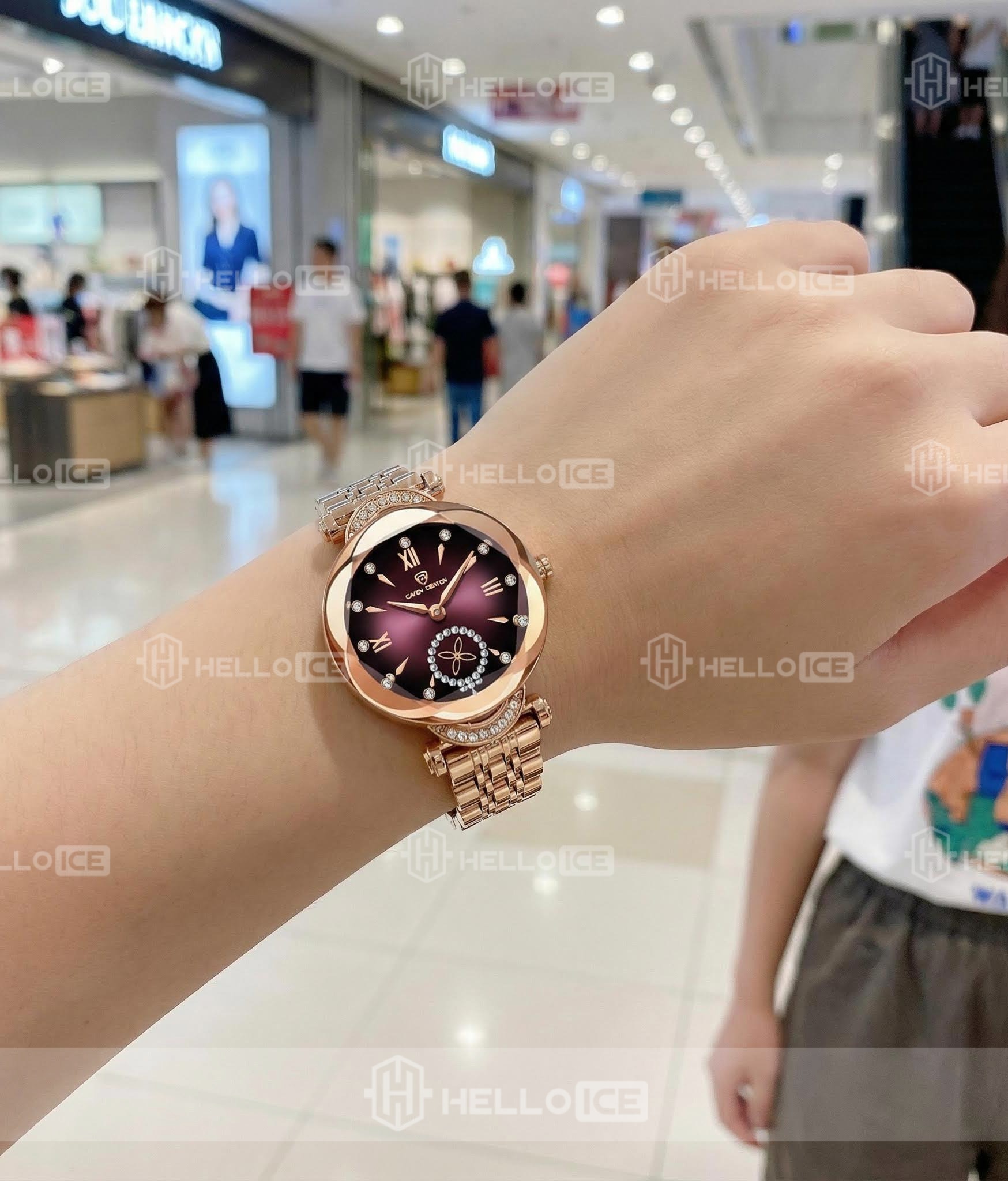 Helloice Review Image