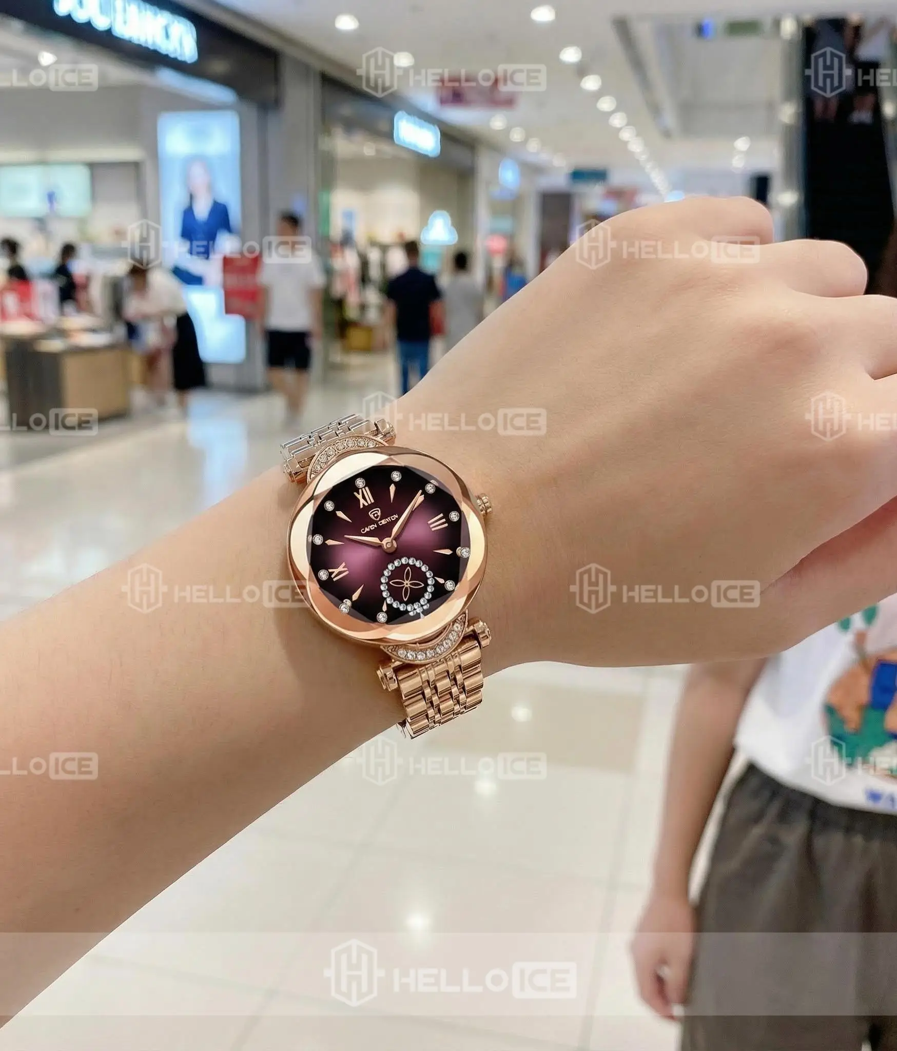 Helloice Review Image