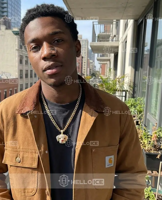 Helloice Review Image