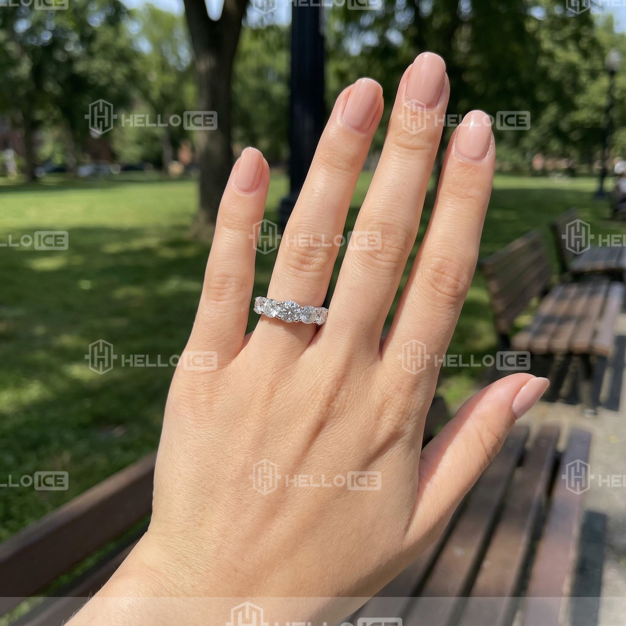 Helloice Review Image