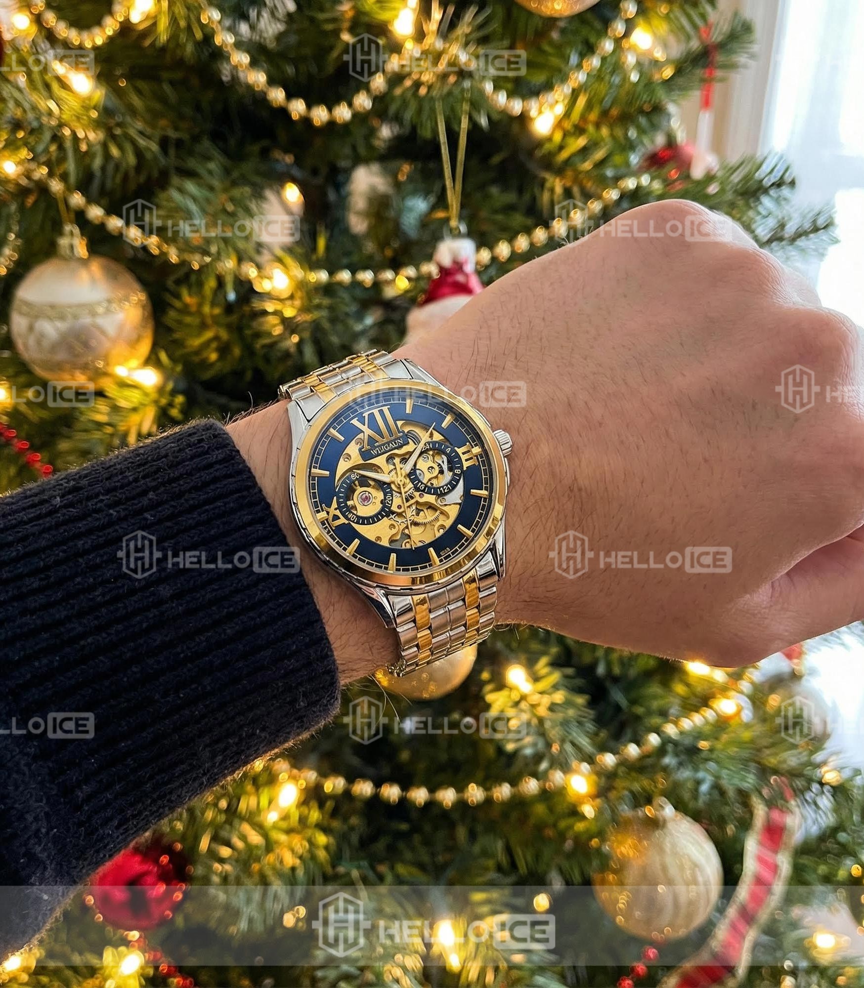 Helloice Review Image