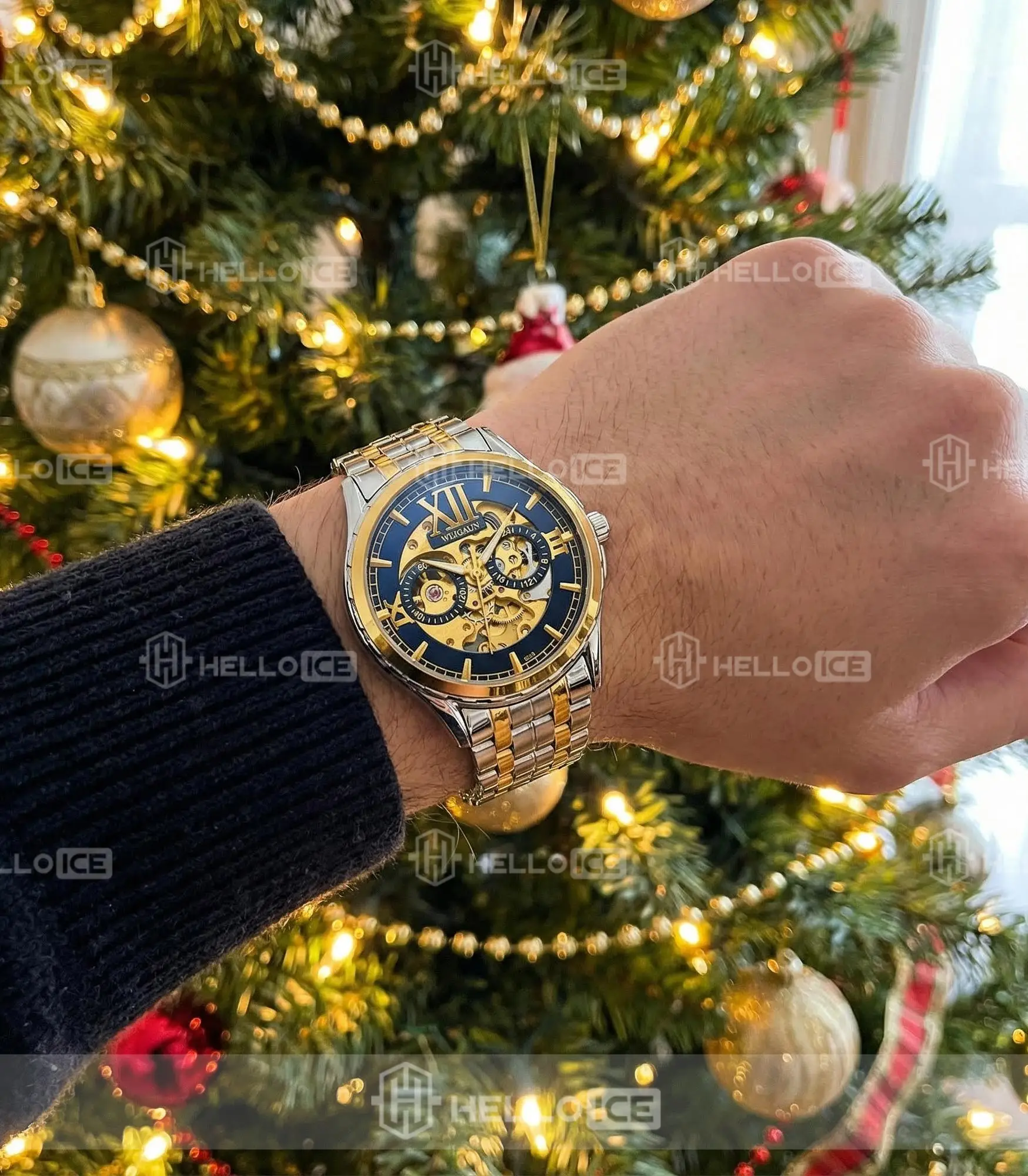 Helloice Review Image