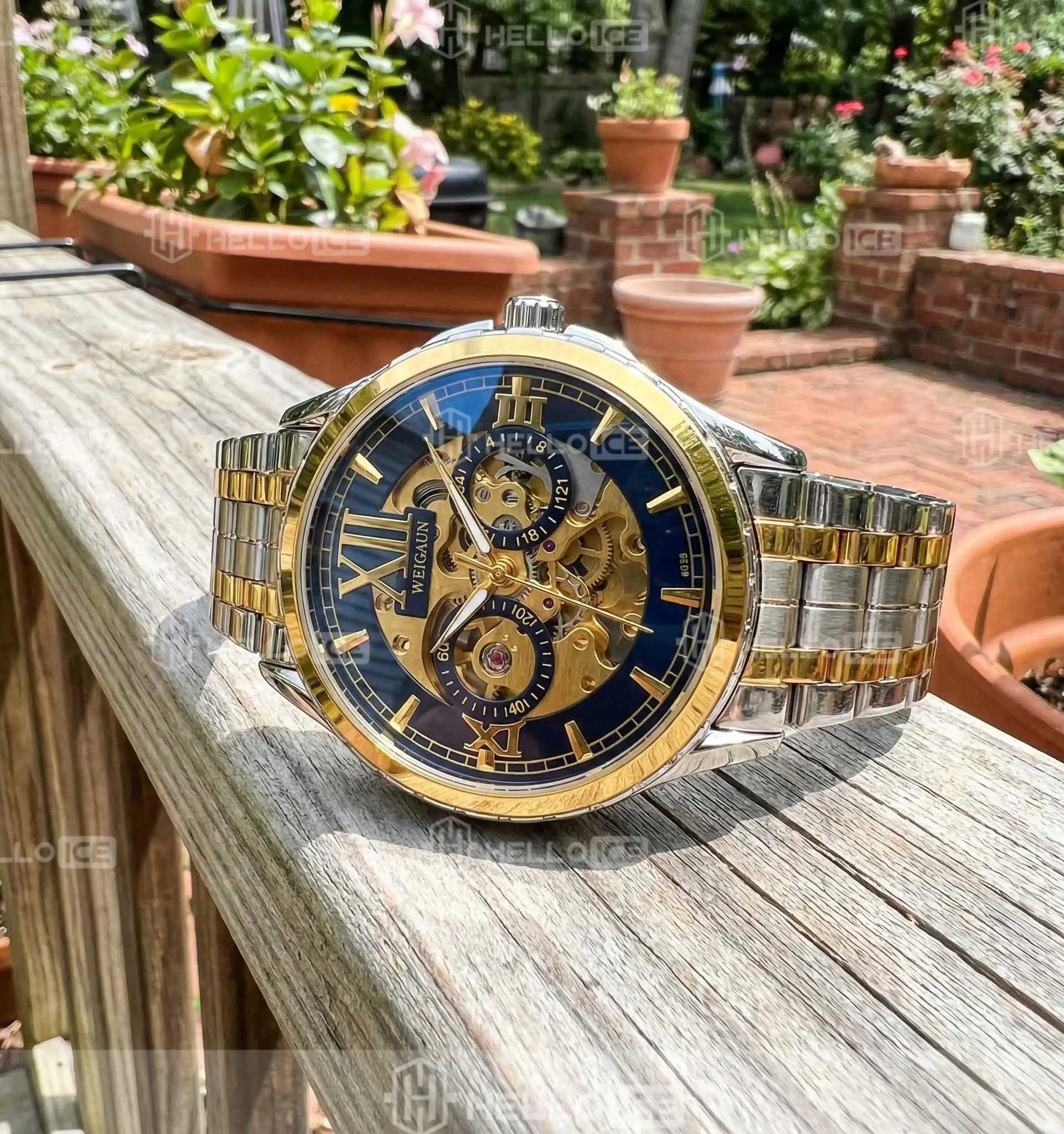 Helloice Review Image