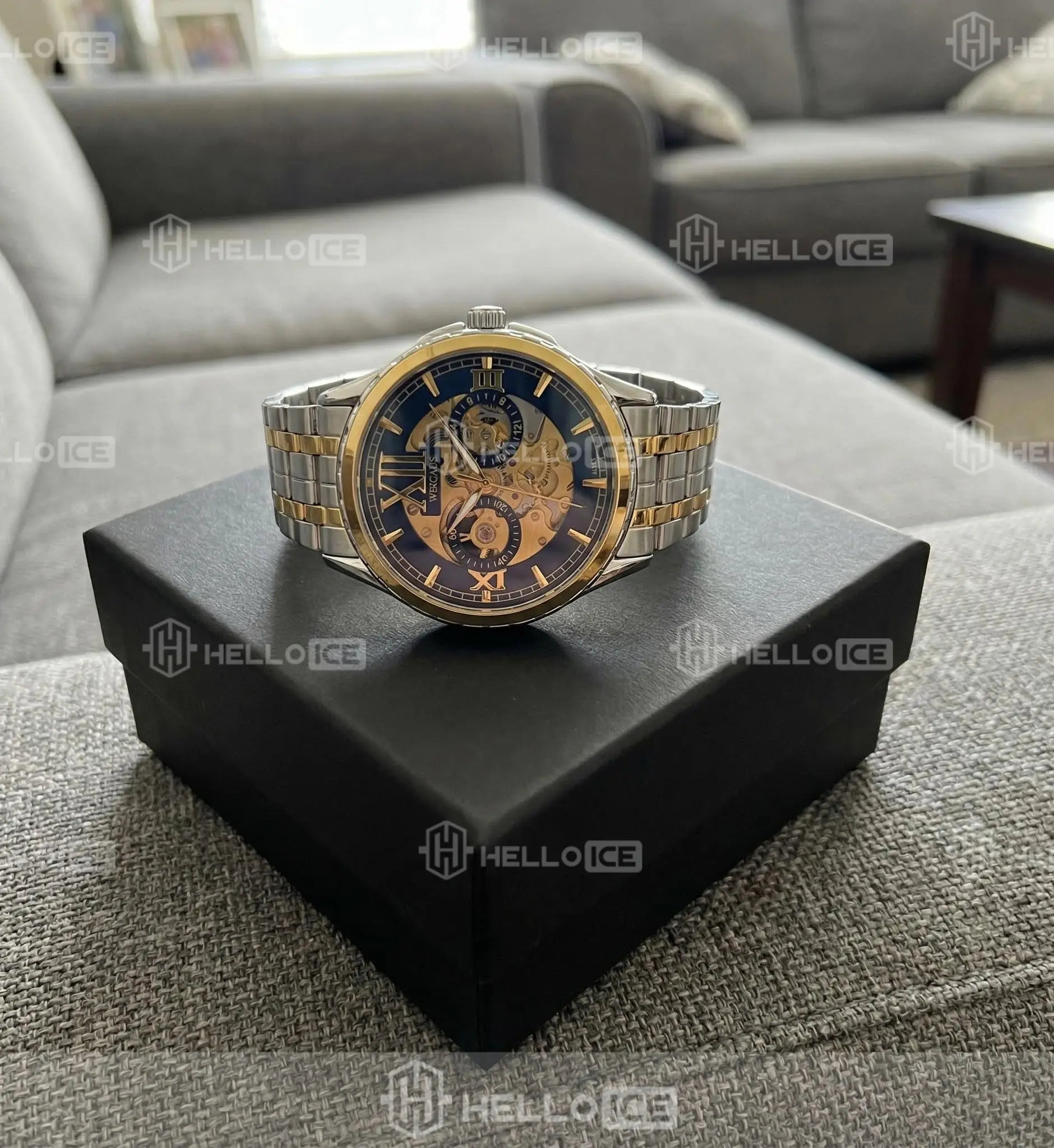 Helloice Review Image