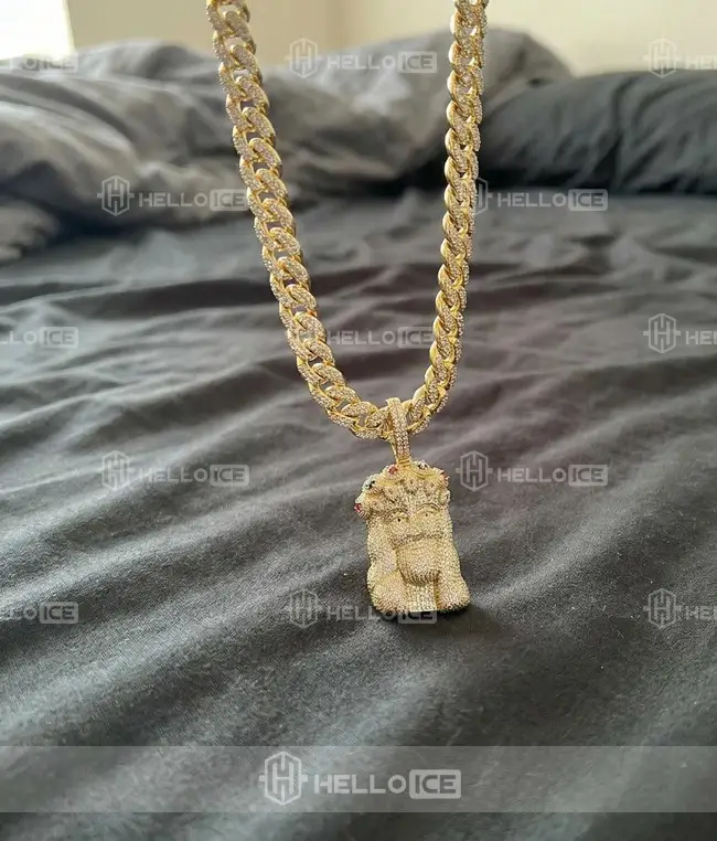 Helloice Review Image