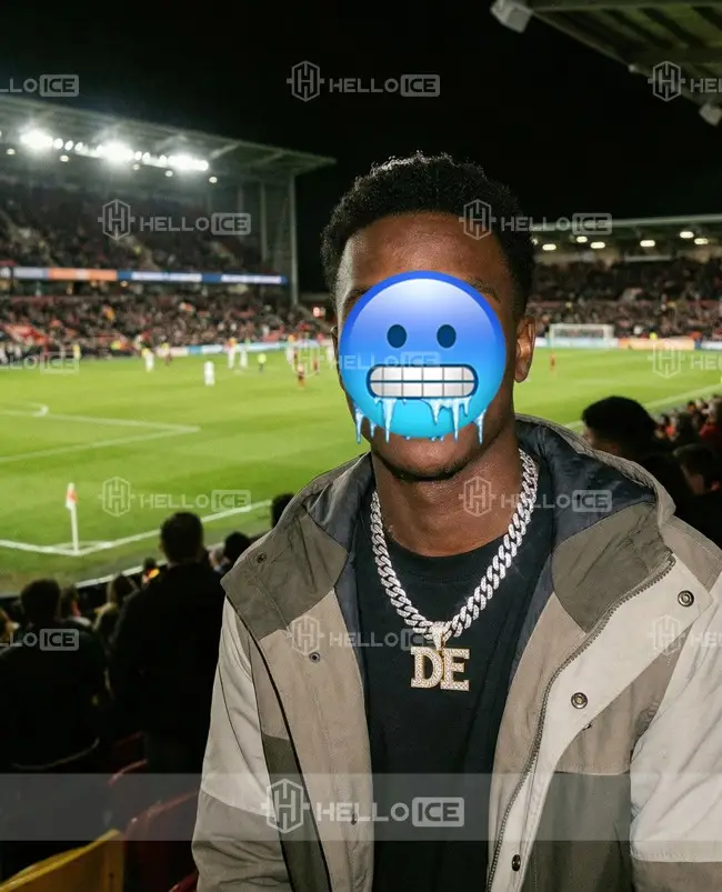 Helloice Review Image