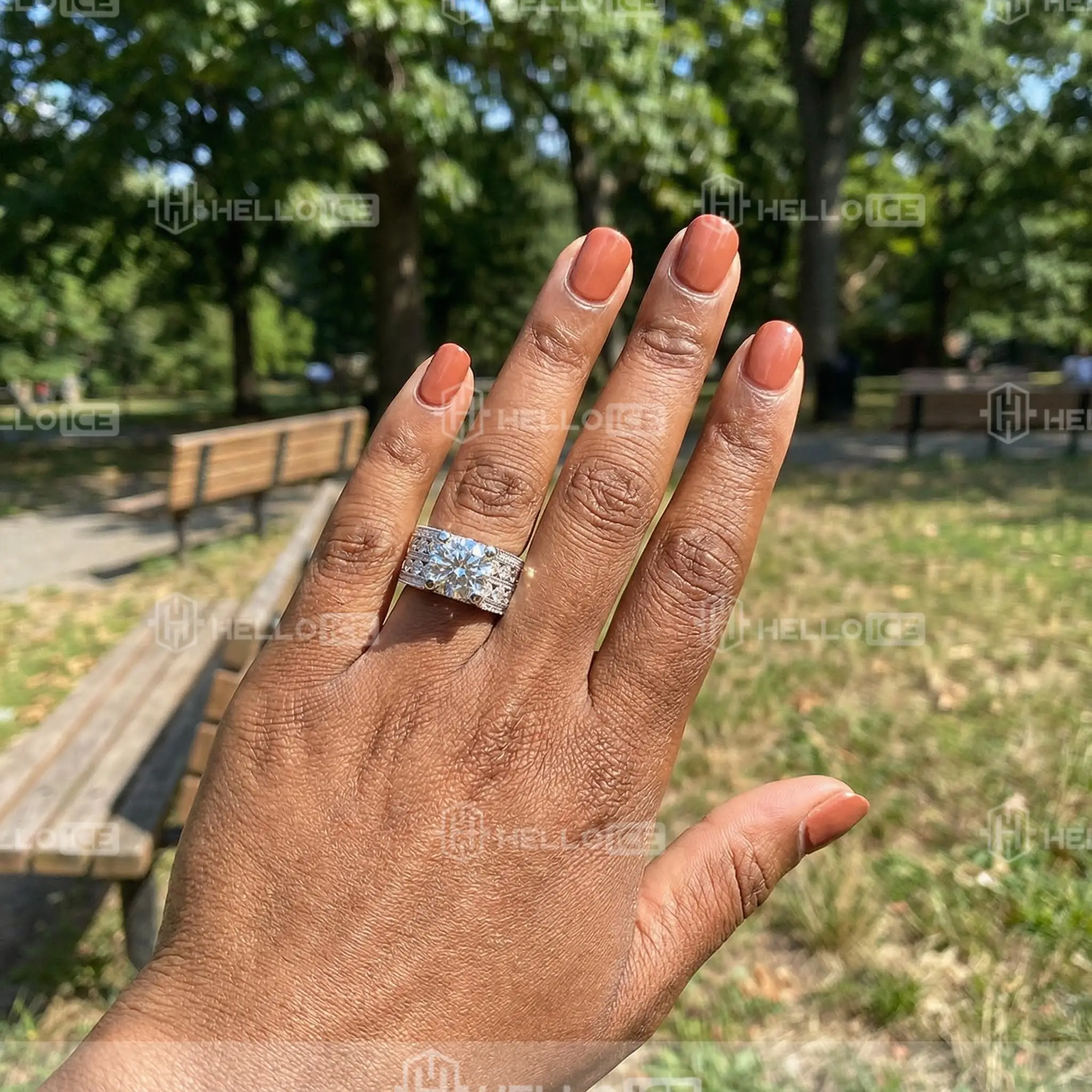 Helloice Review Image