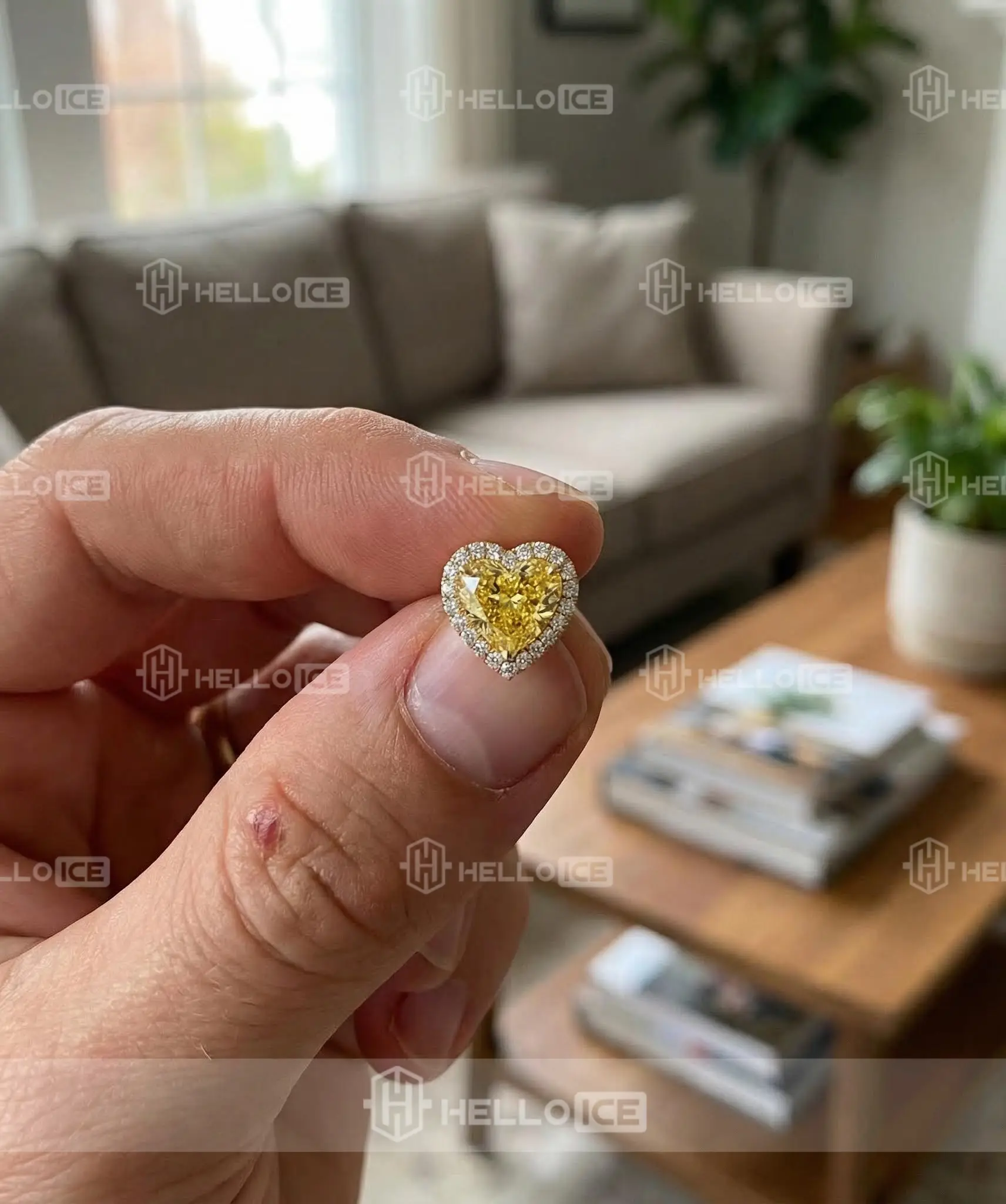 Helloice Review Image