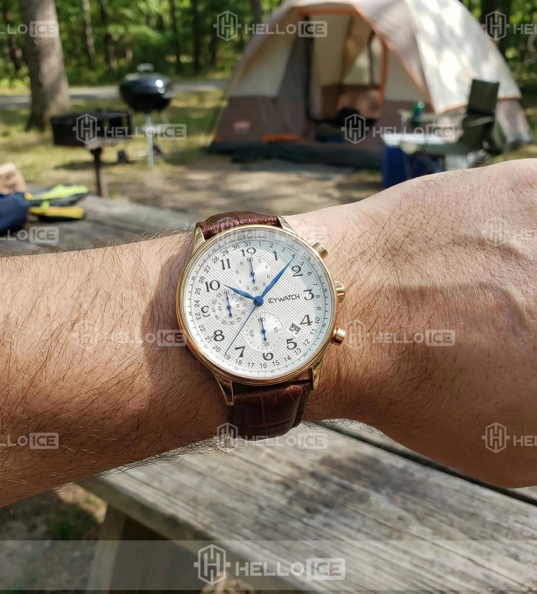 Helloice Review Image